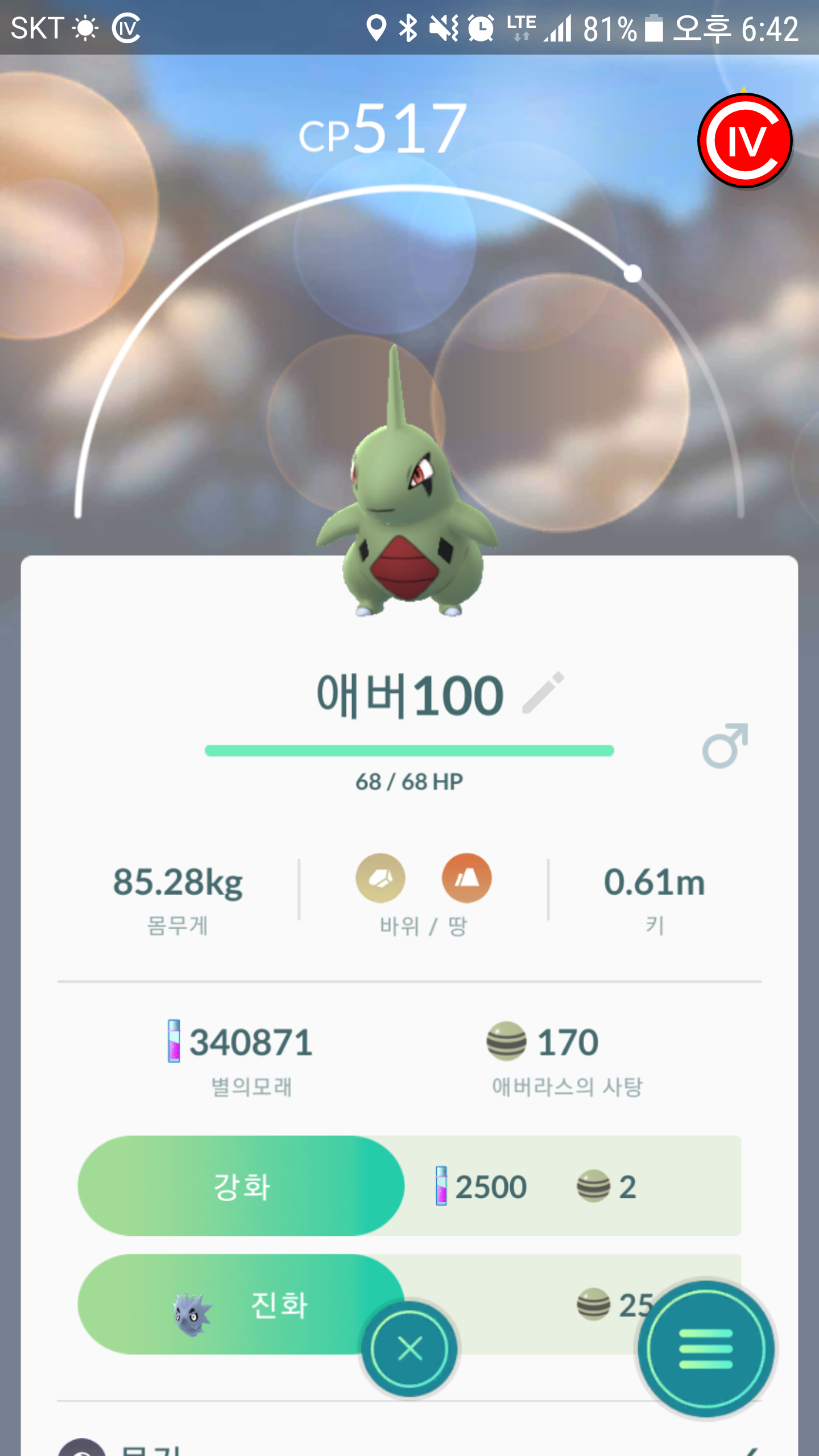 (신규가입) 백프로 애버라스. 귀엽습니다