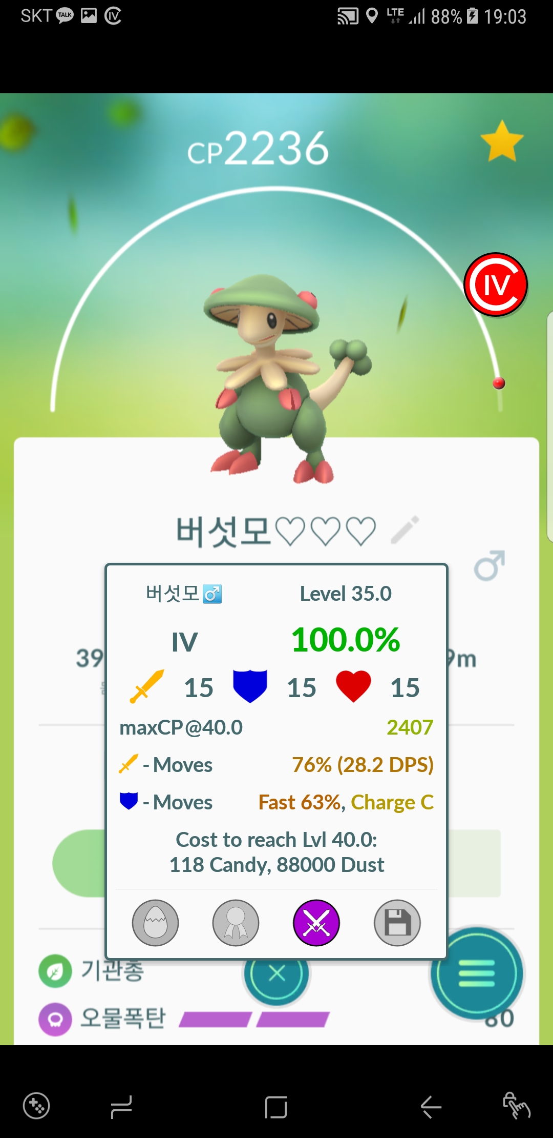 버섯모
