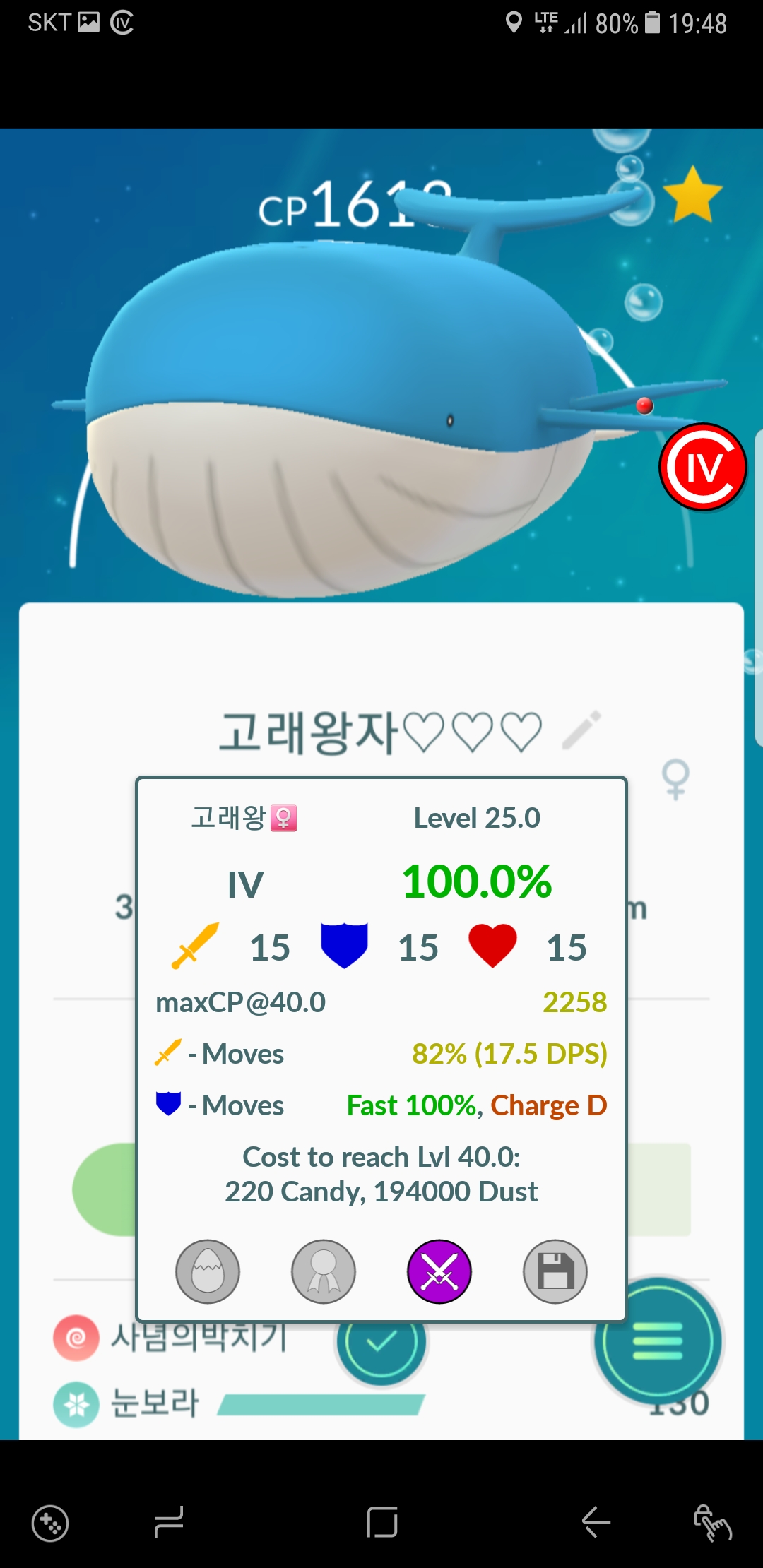 고래왕