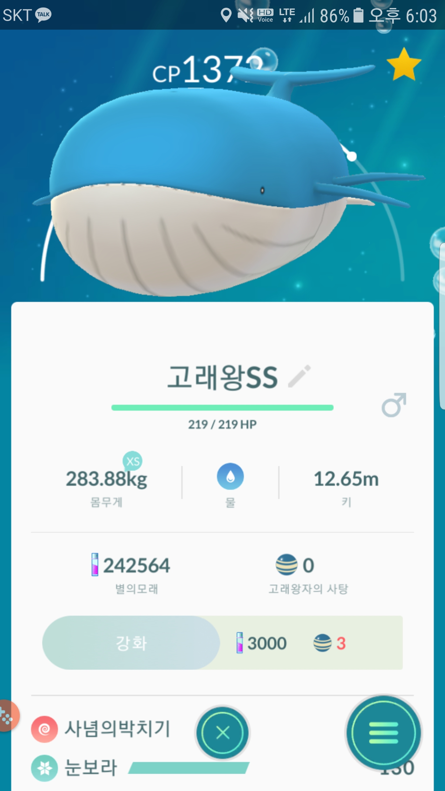 힘들게 고래왕으로 진화