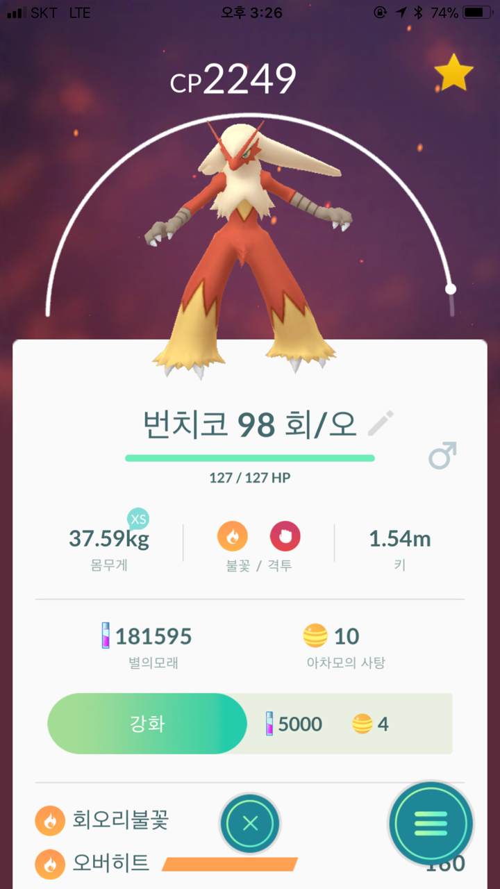 번치코