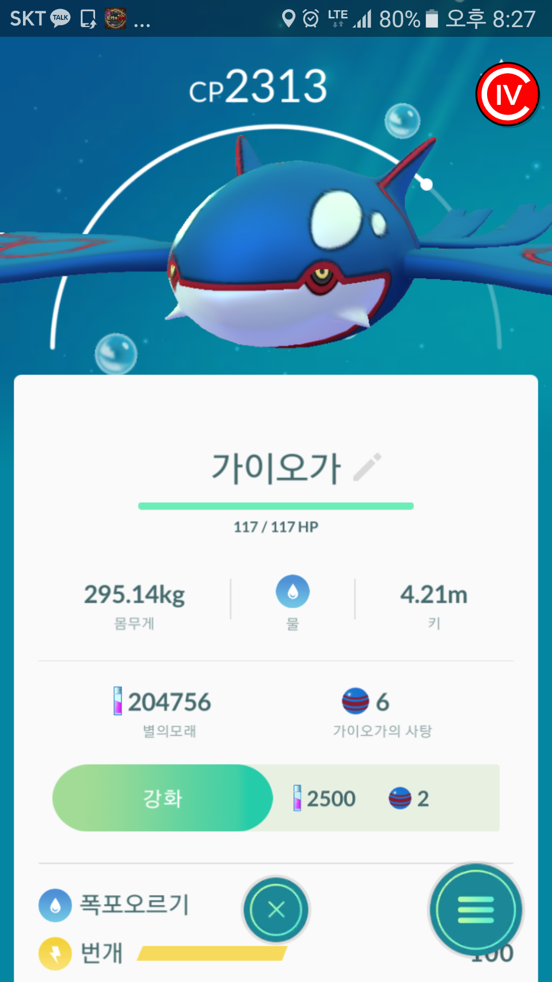 어제 잡은 가오리