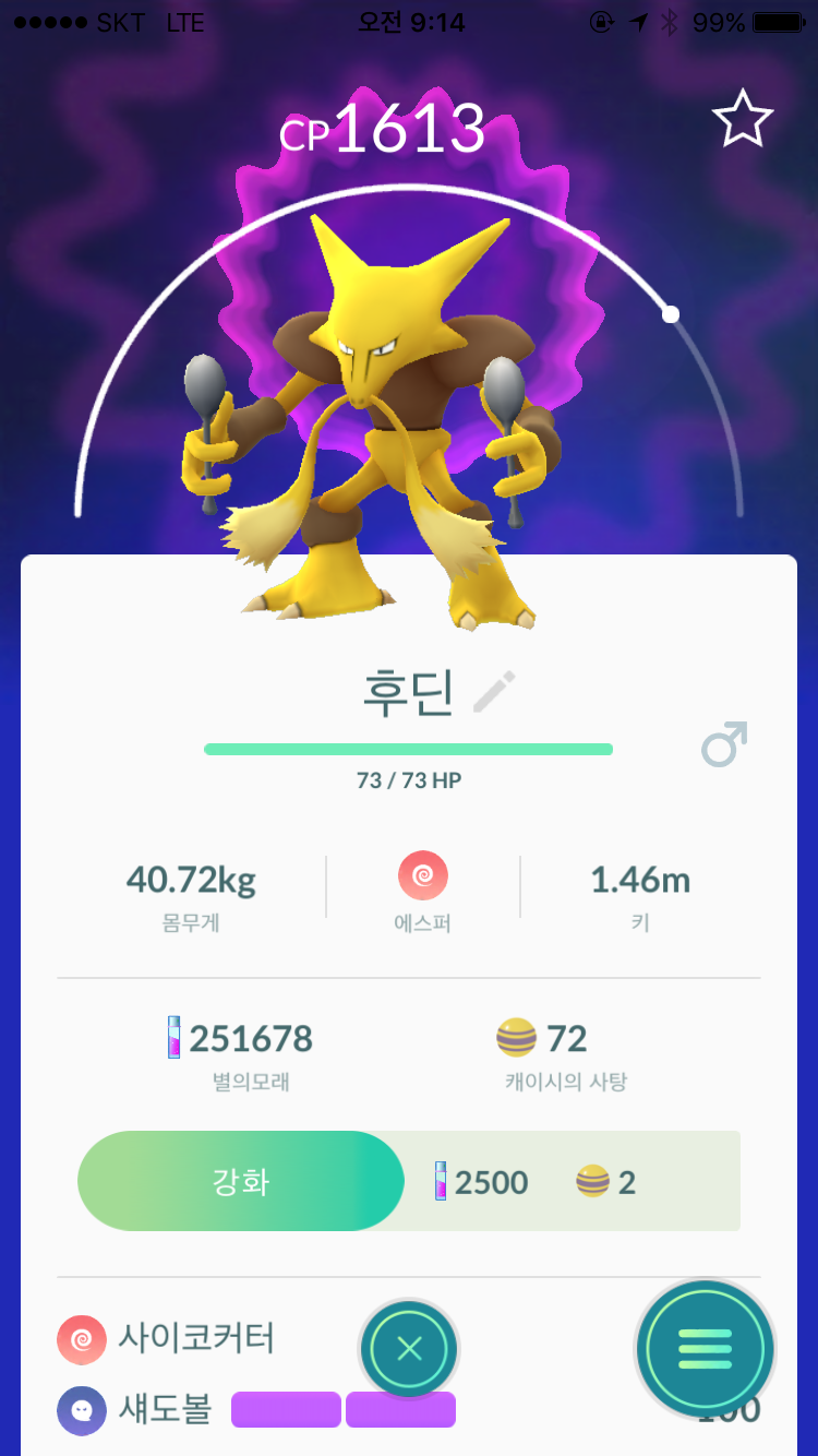 후딘레이드~