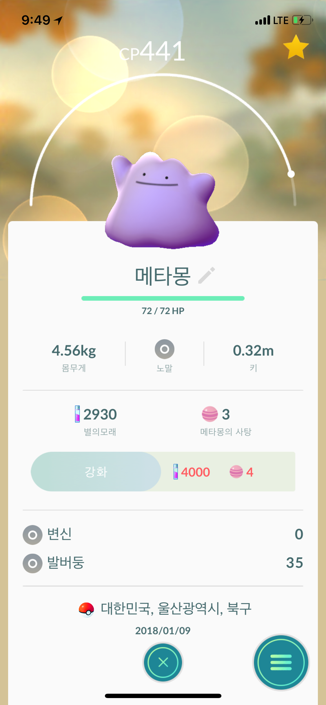 드디어.... 메타몽