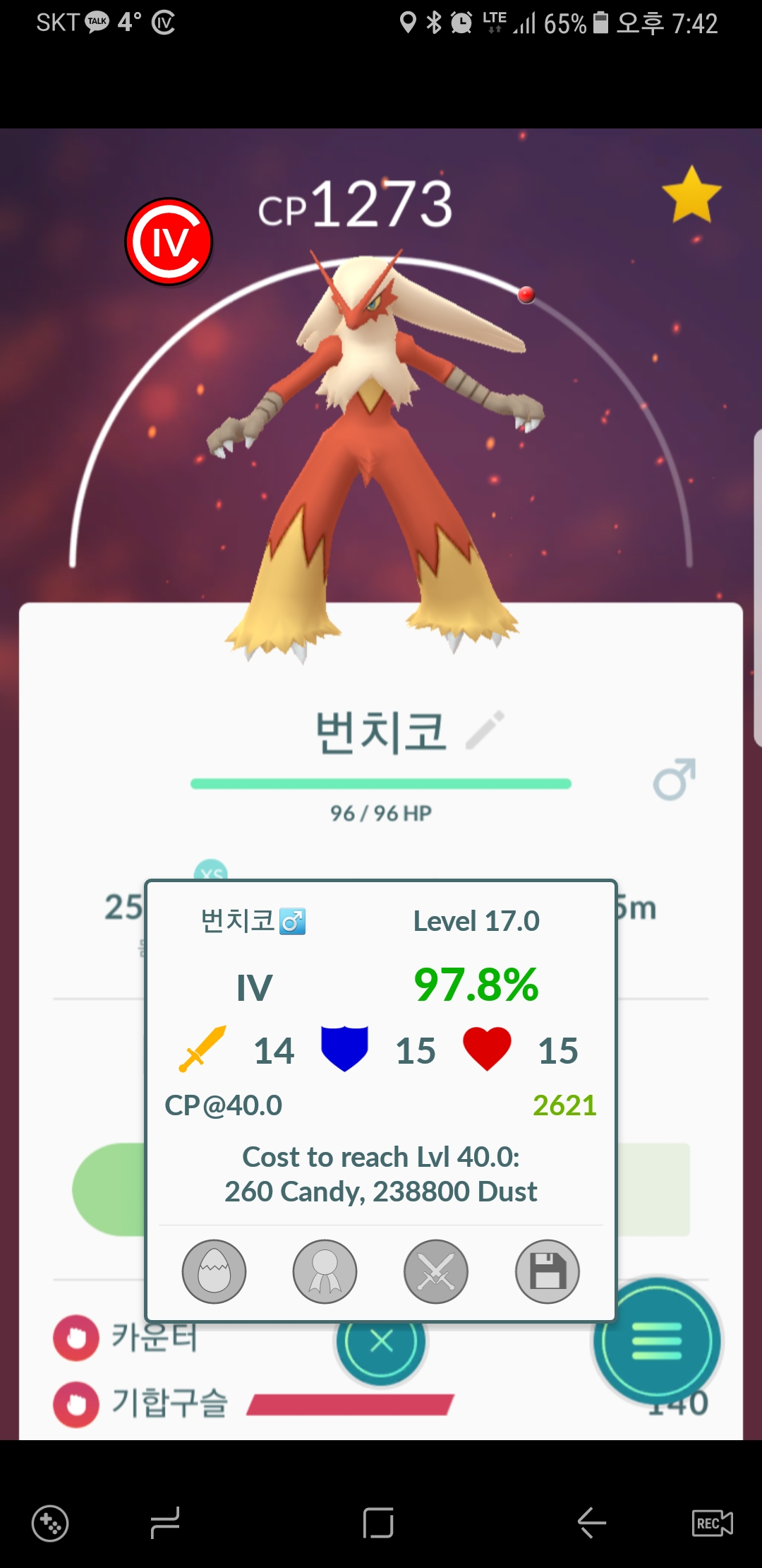 번치코