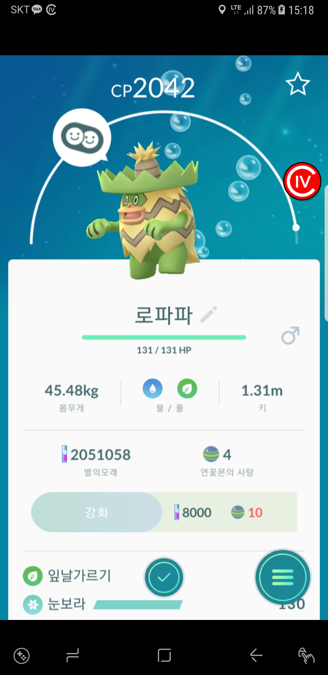 로파파