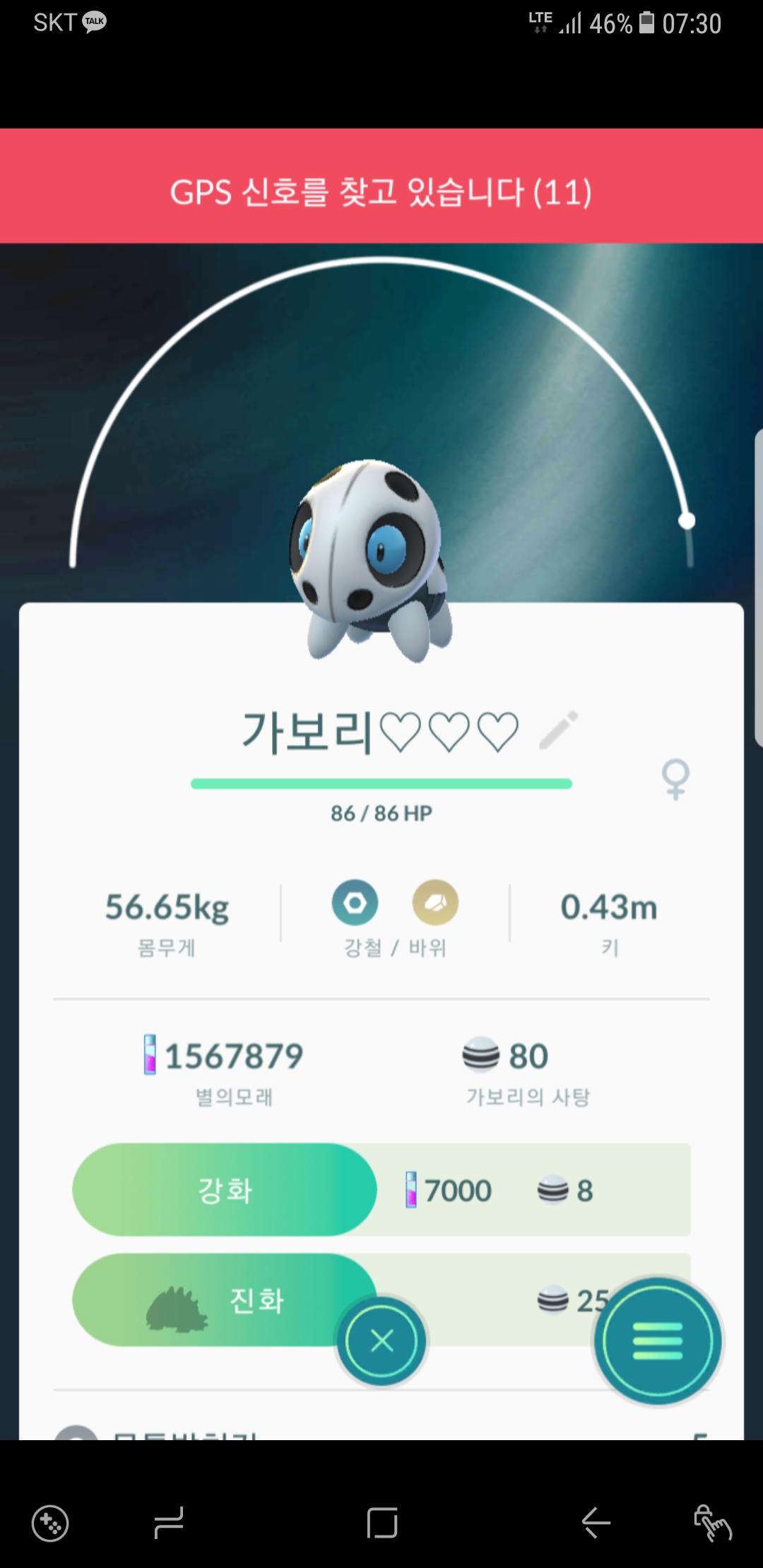 가보리
