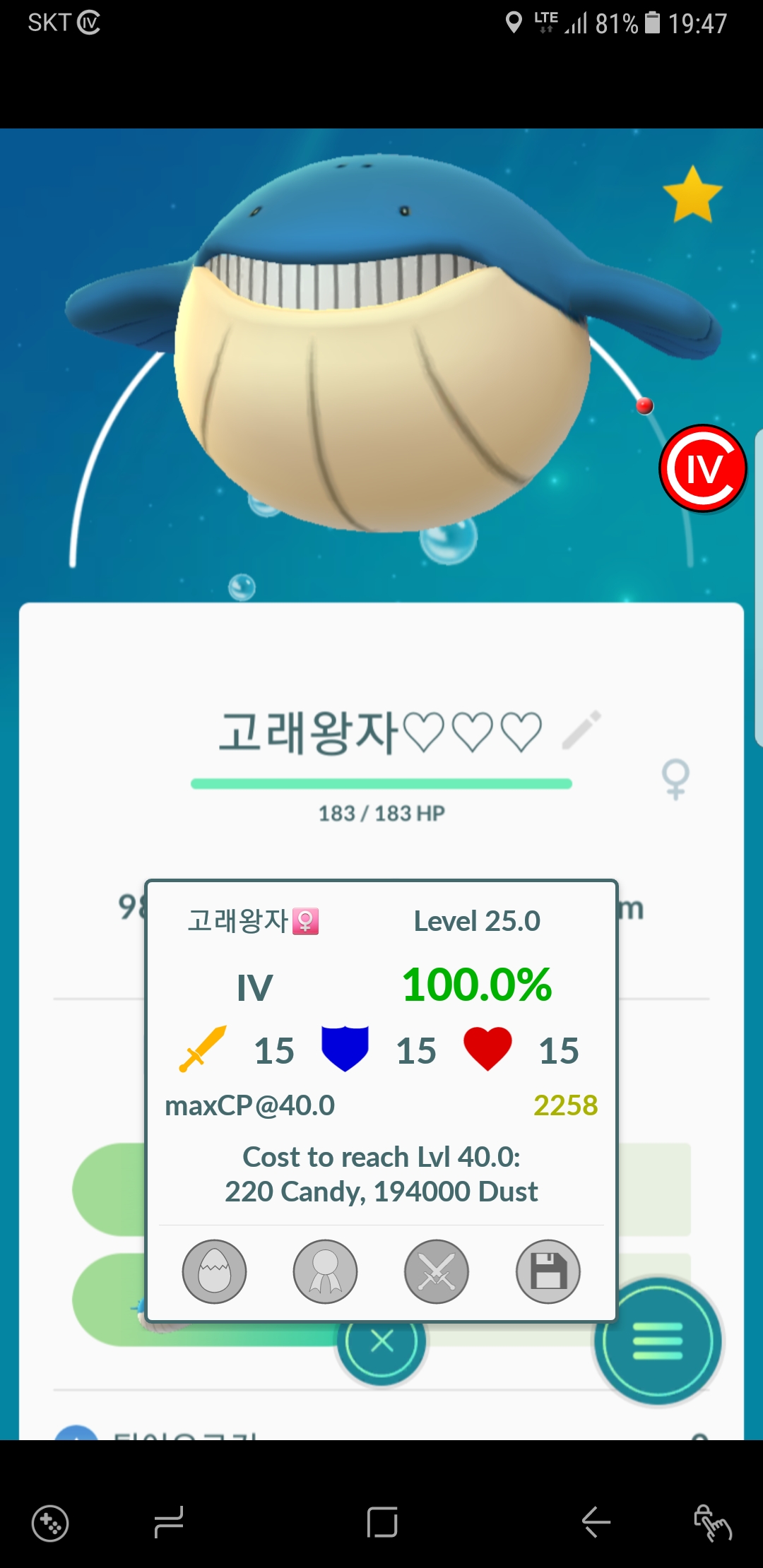 고래왕자