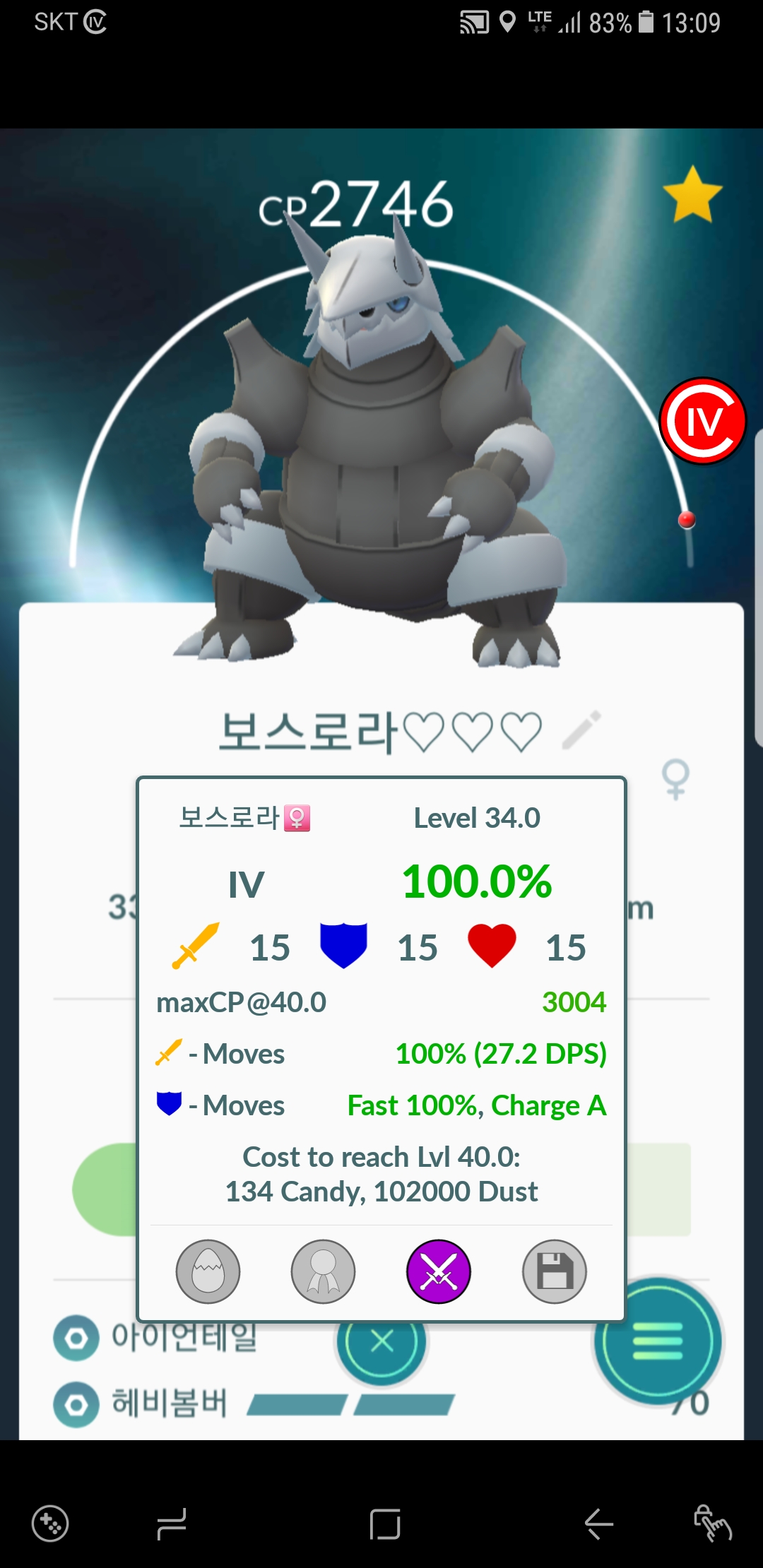 가보리 백을 진화해서