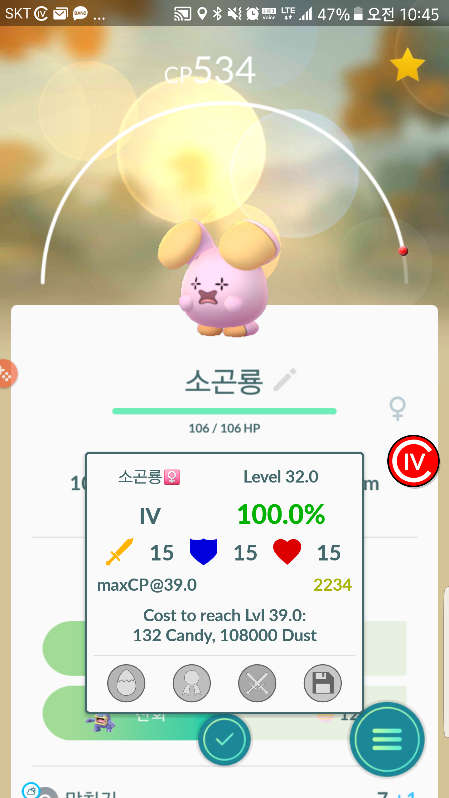 소곤룡 100이네요