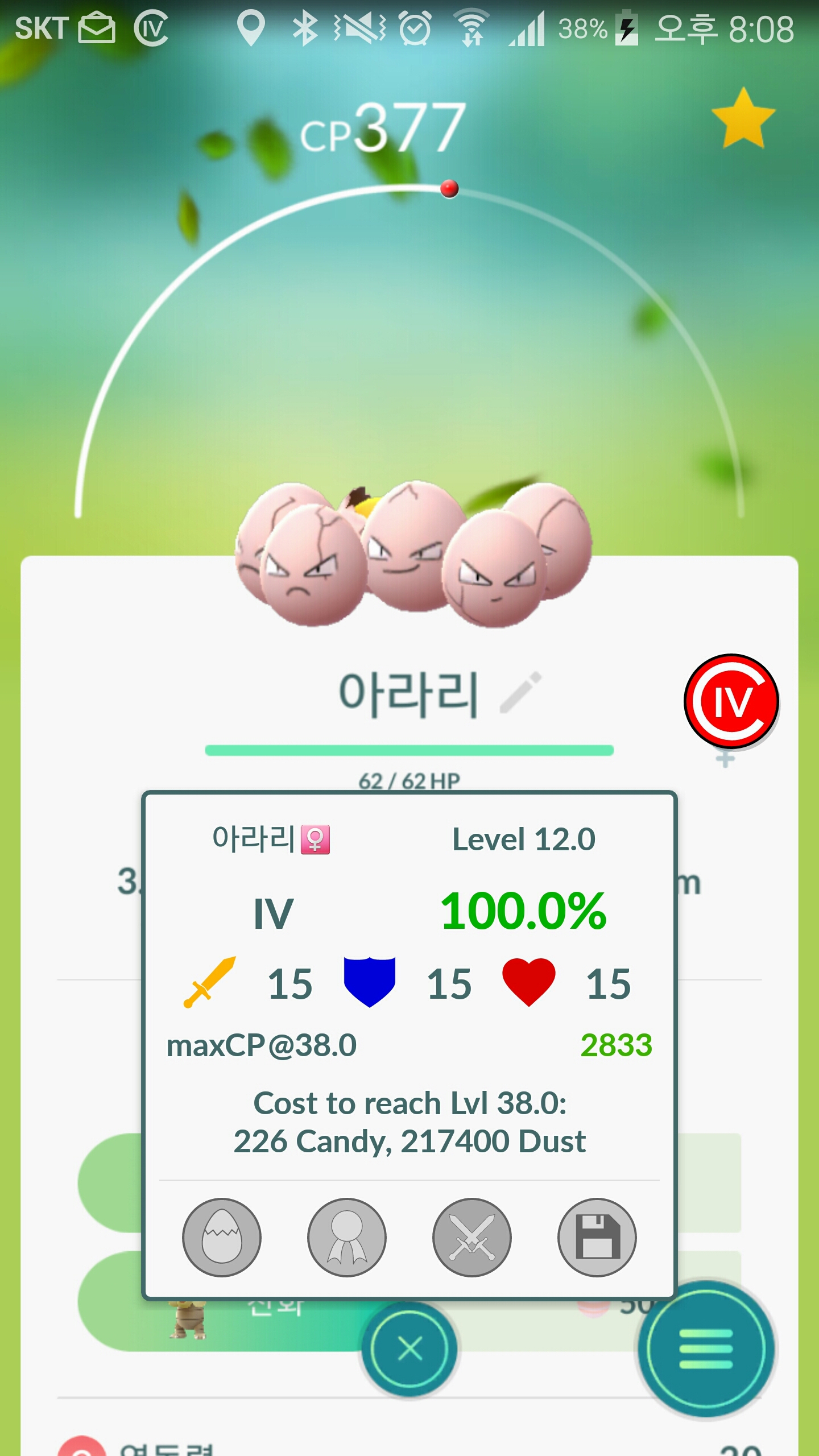 아라리 100