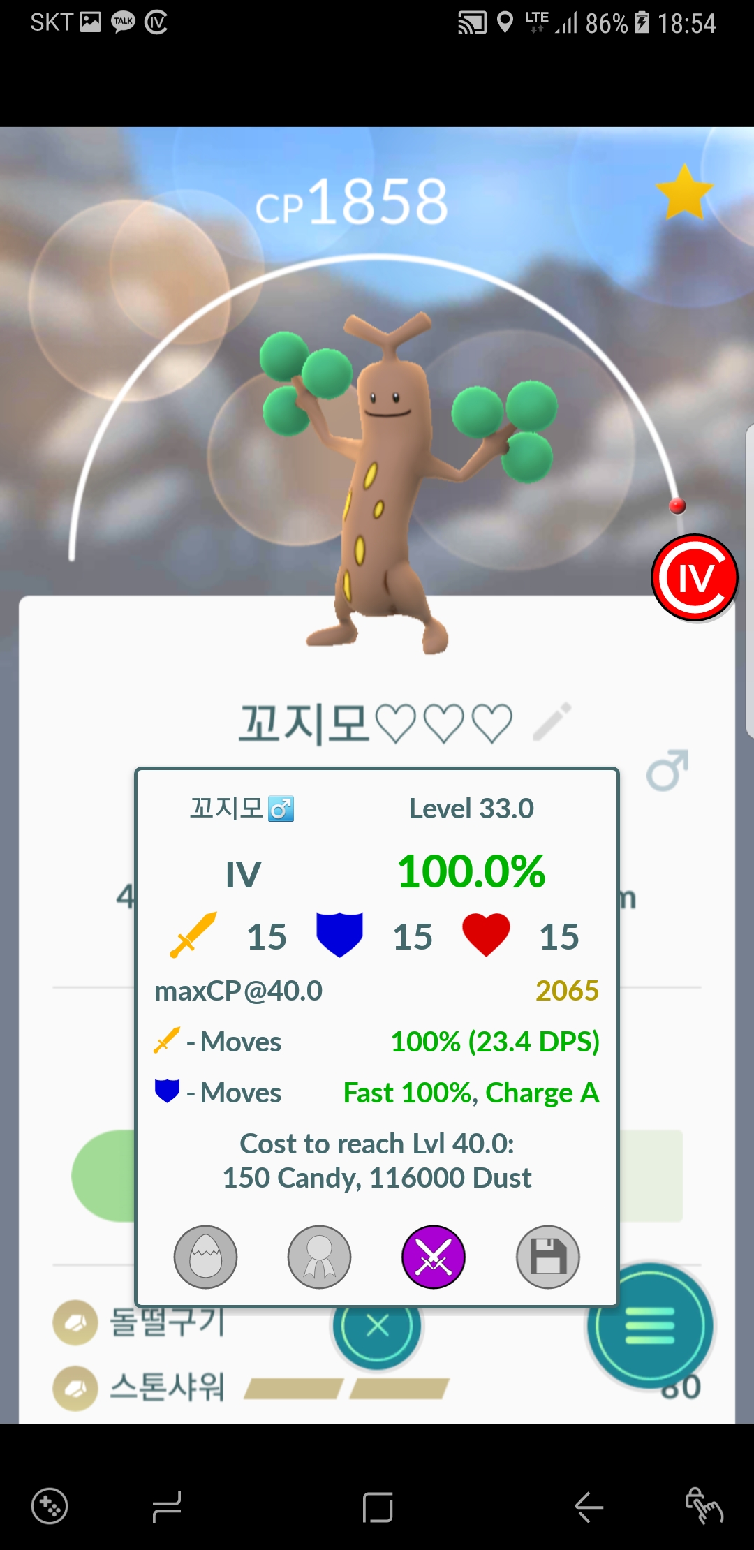 꼬지모