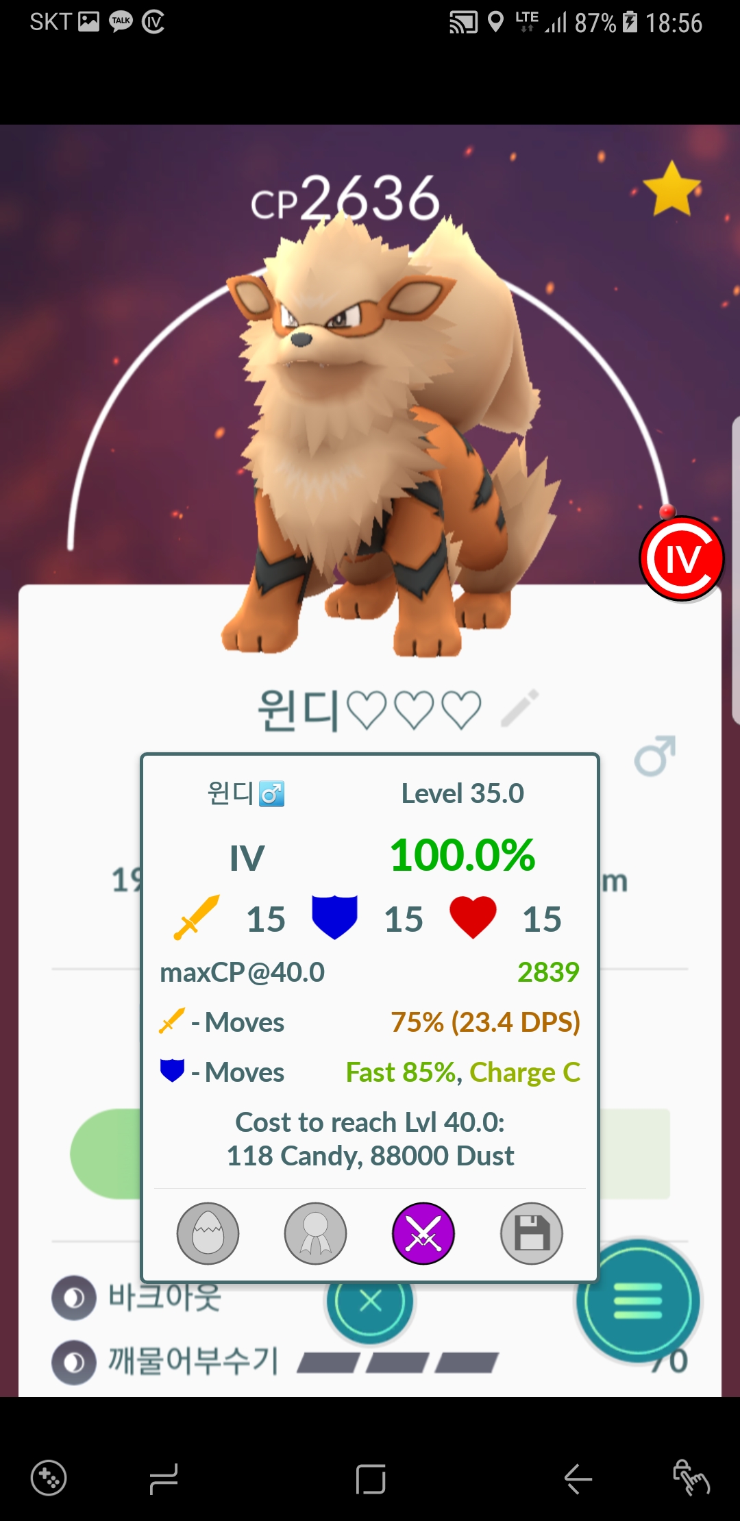 윈디