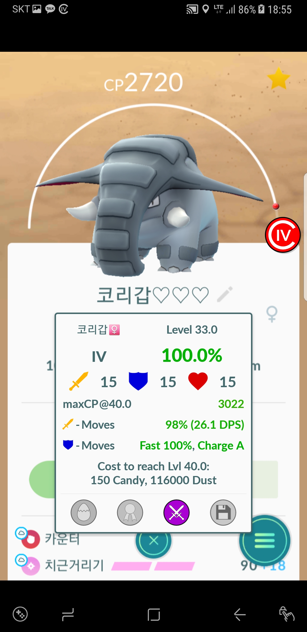 코리갑