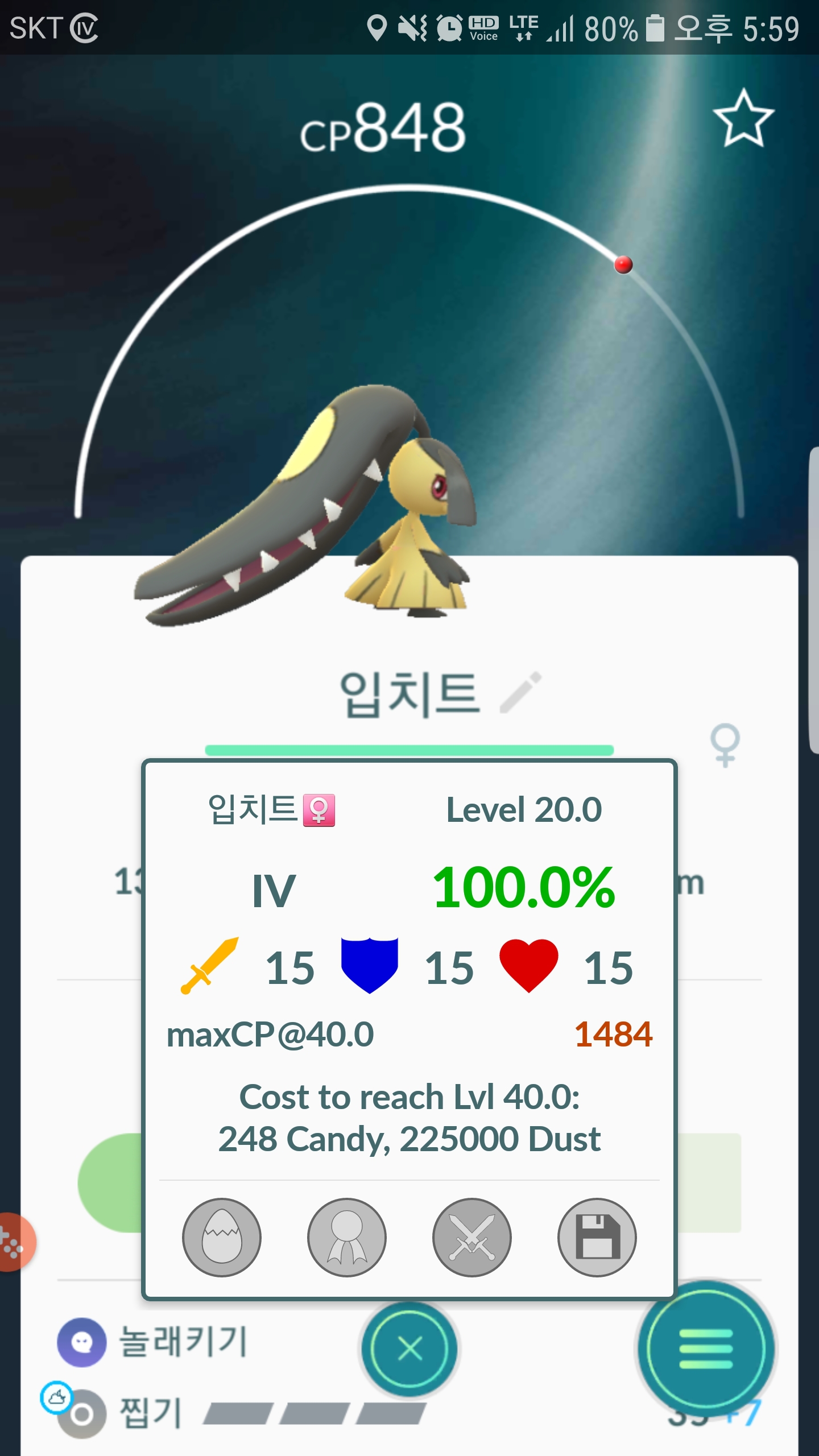 조금전 레이드에서 잡은 100%