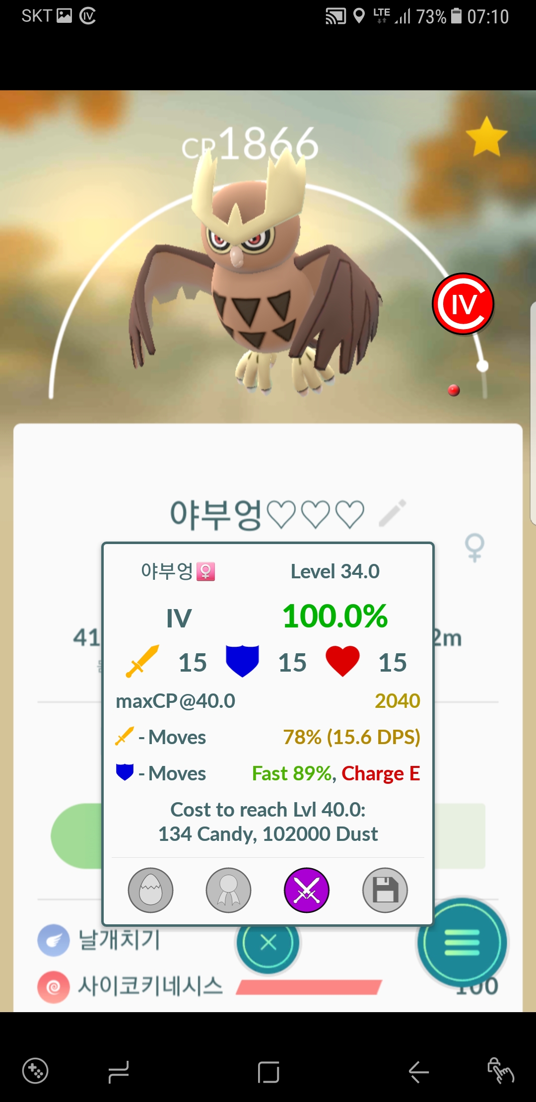 야부엉