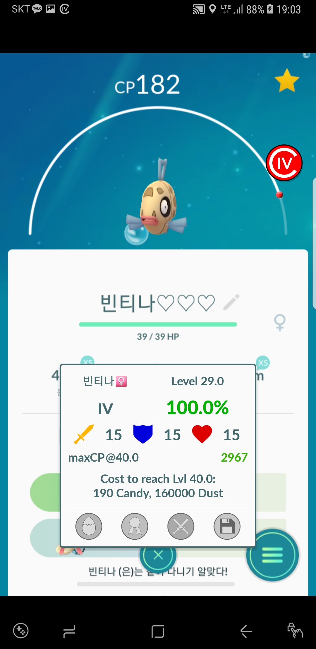 빈티나
