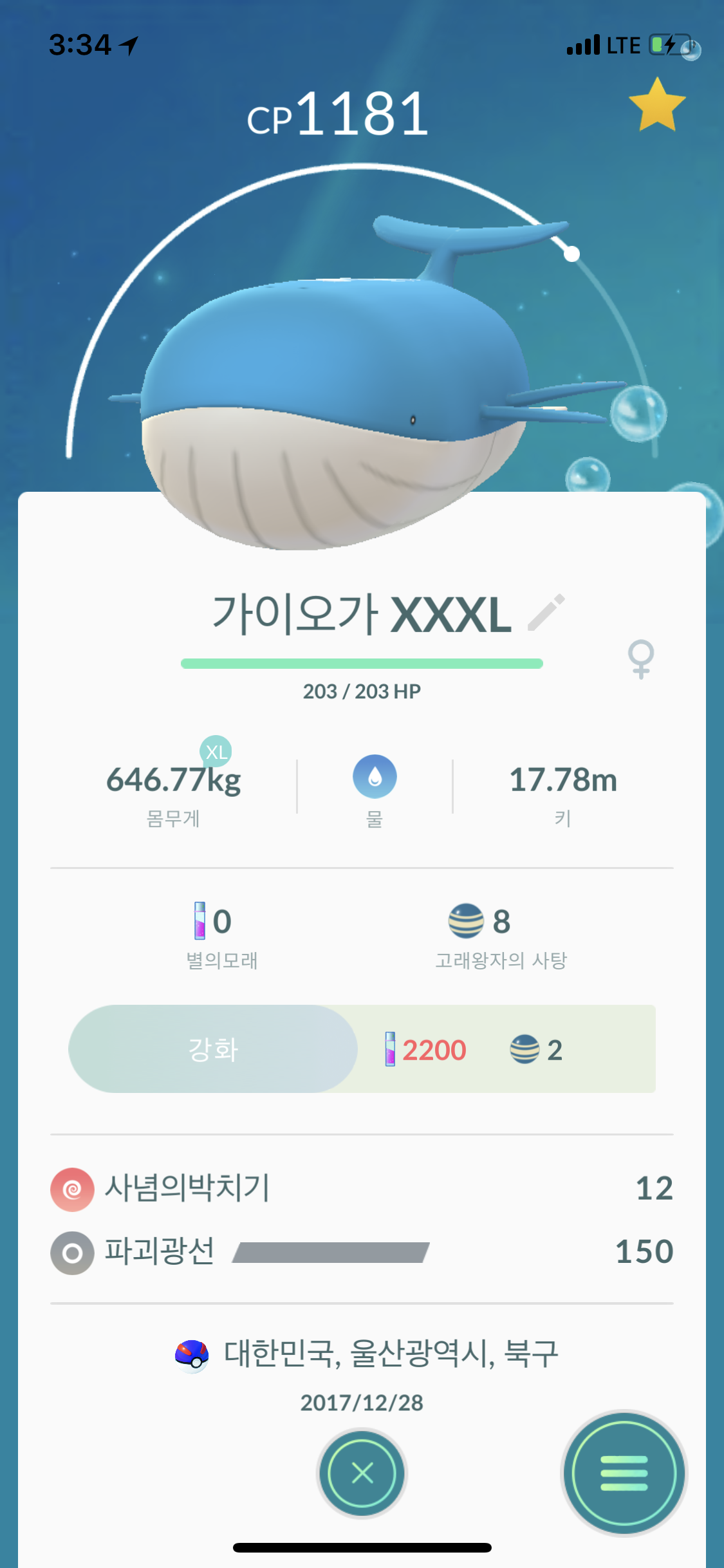 100범고래&걍고래