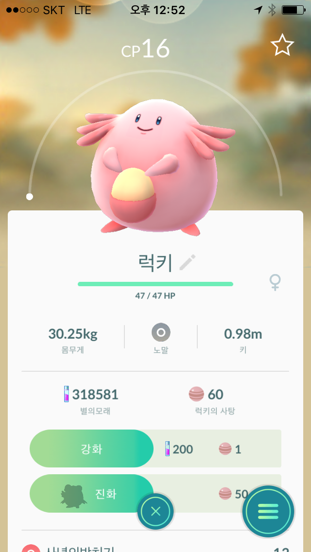 귀여운 럭키