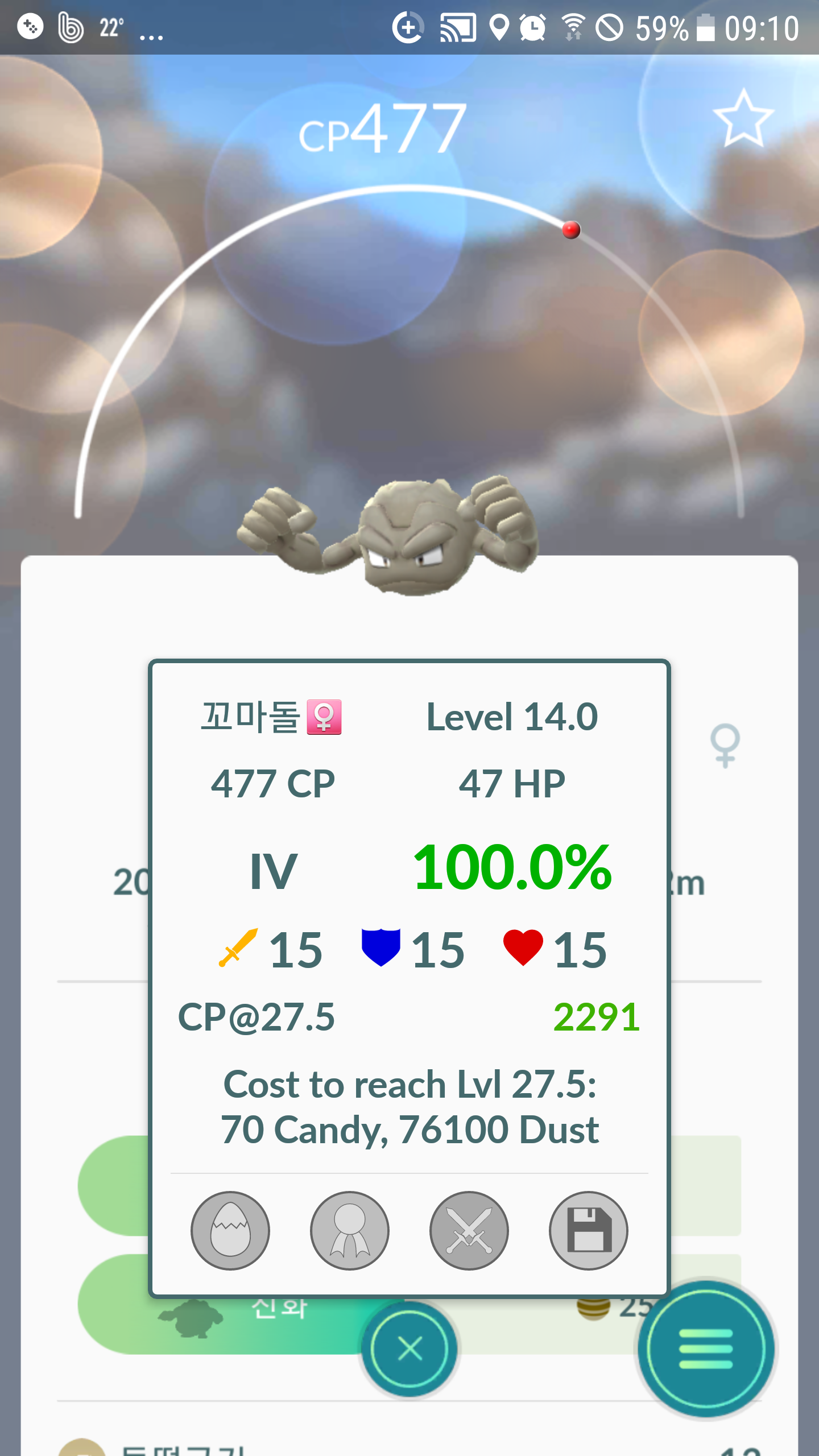 100% 꼬마돌