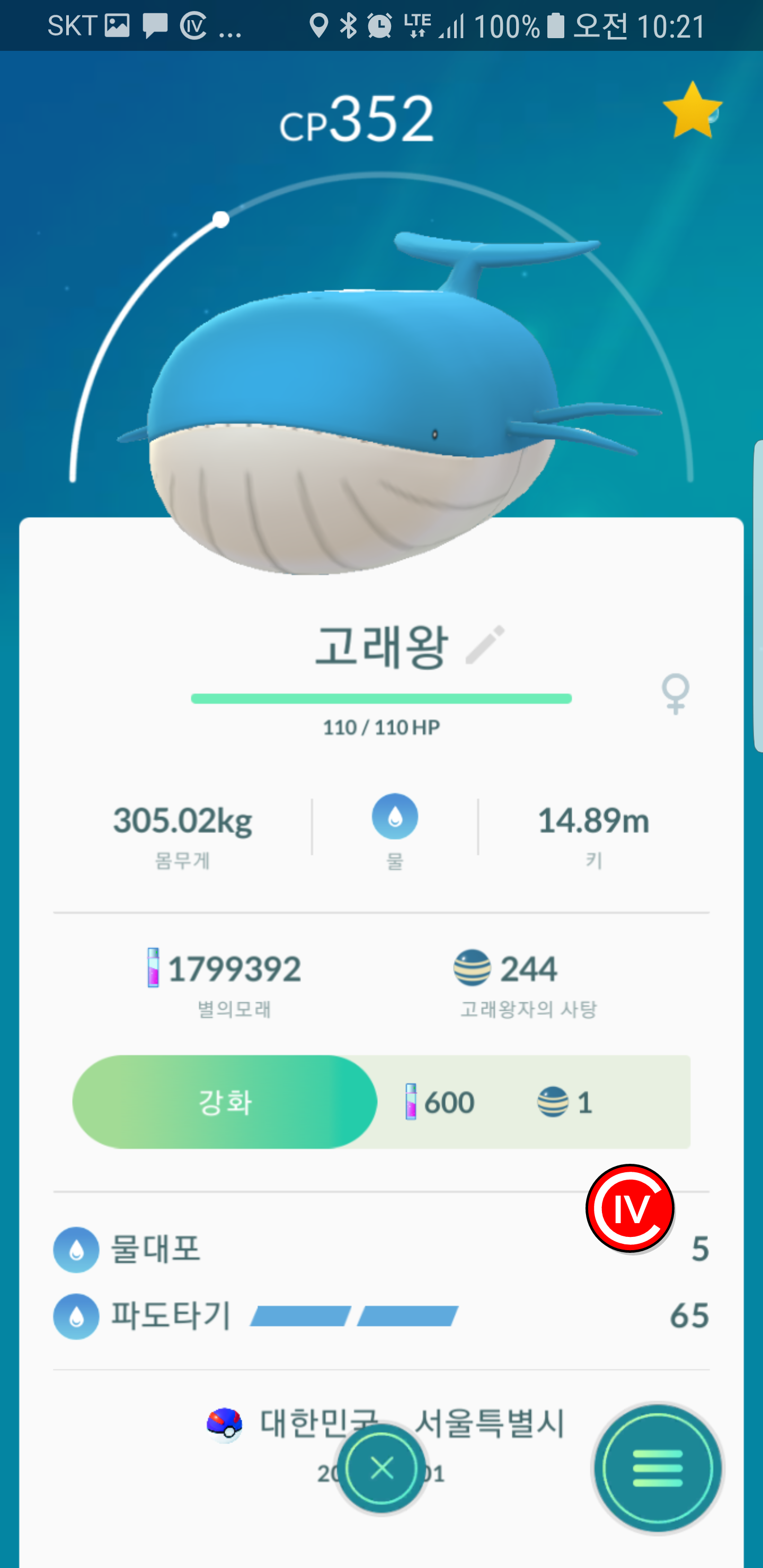 실패한 고래왕