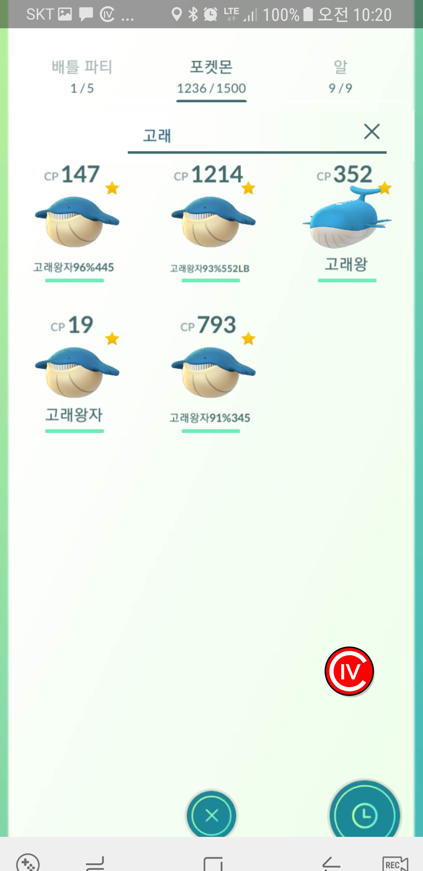 실패한 고래왕