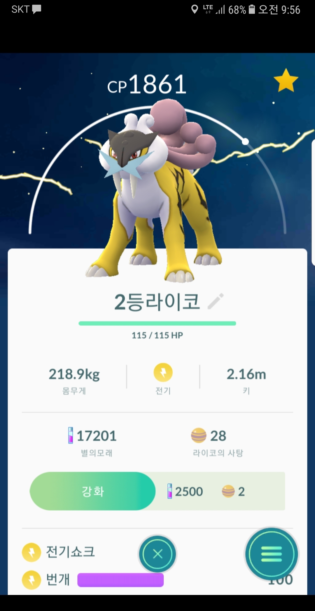 2번째 라이코