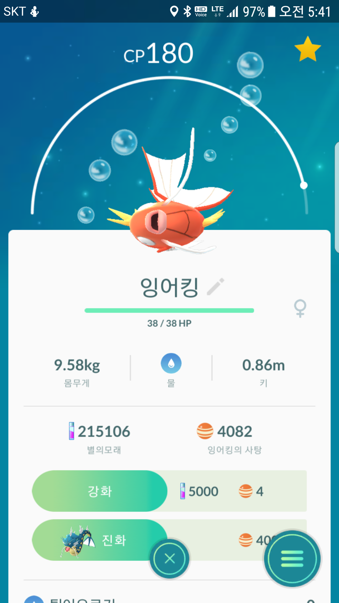 잉어킹