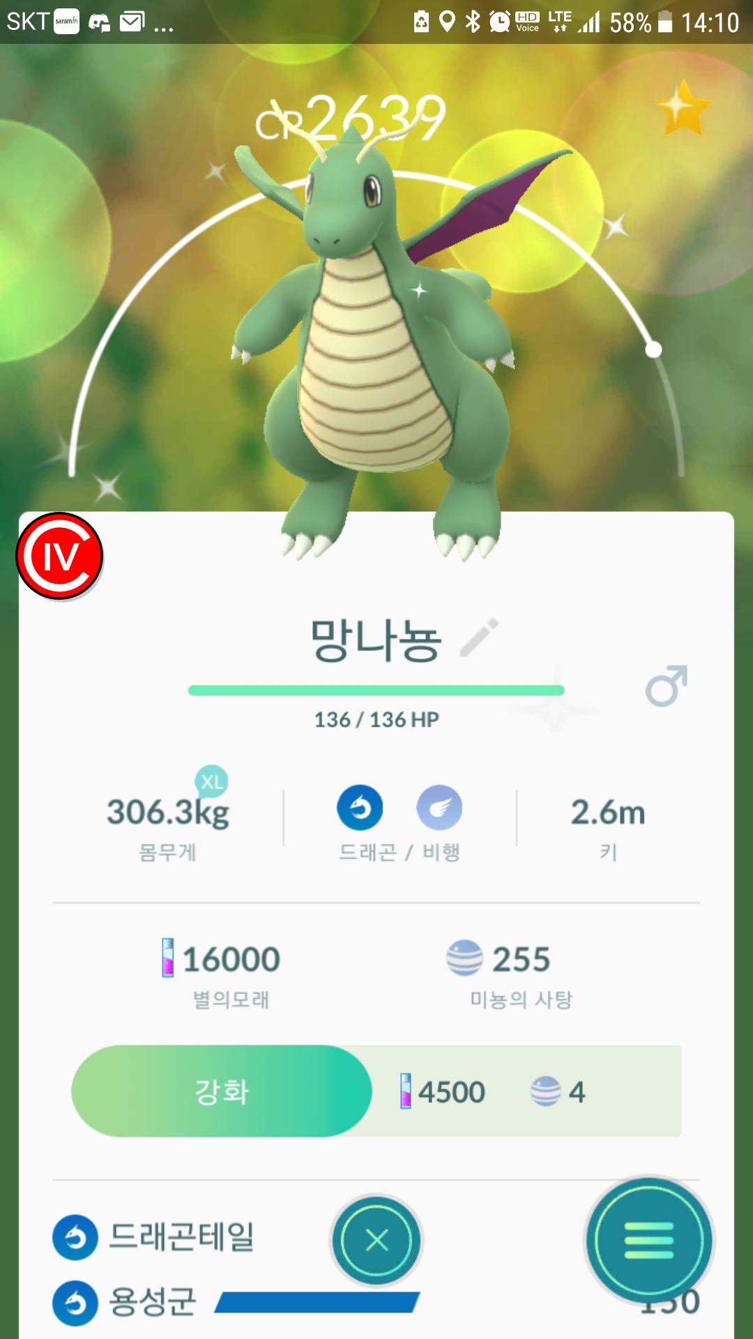 이로치 망나뇽 만들기 성공