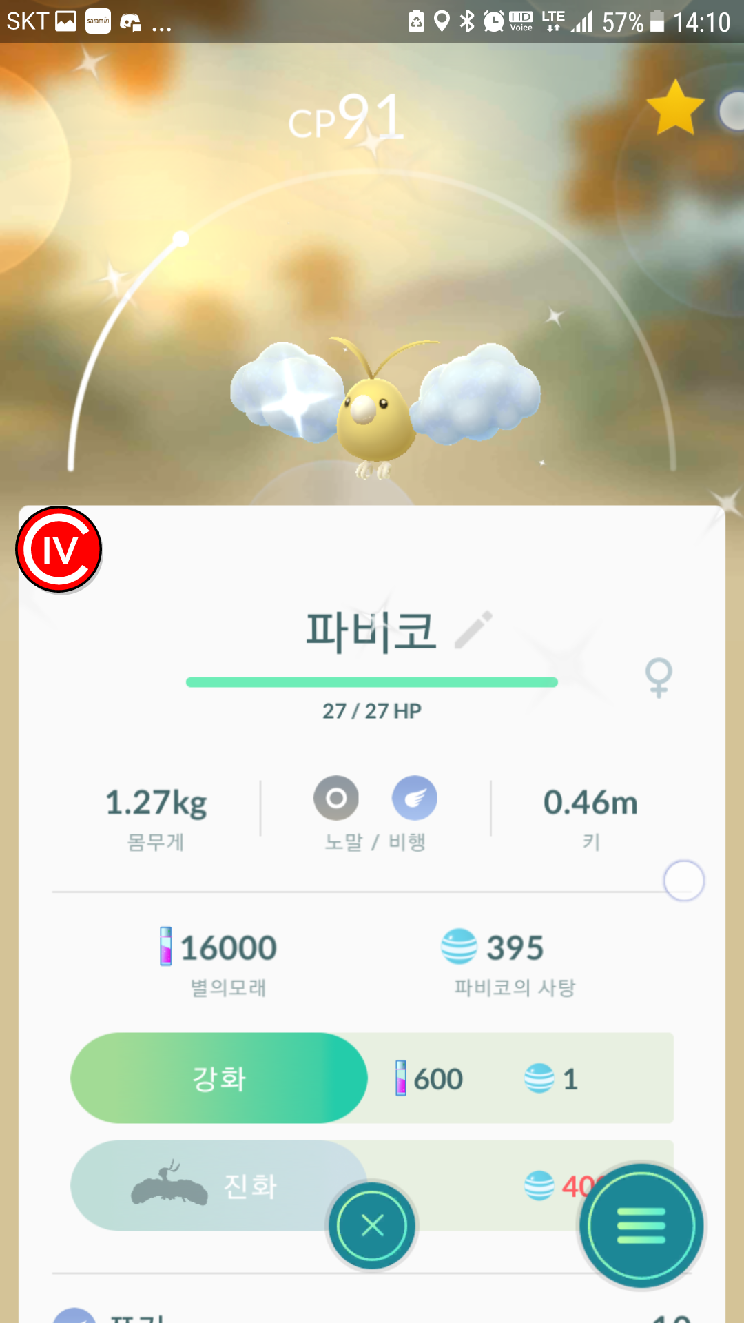 이로치 파비코.. 포획