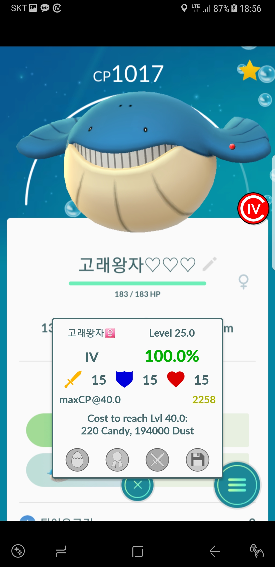 고래왕자