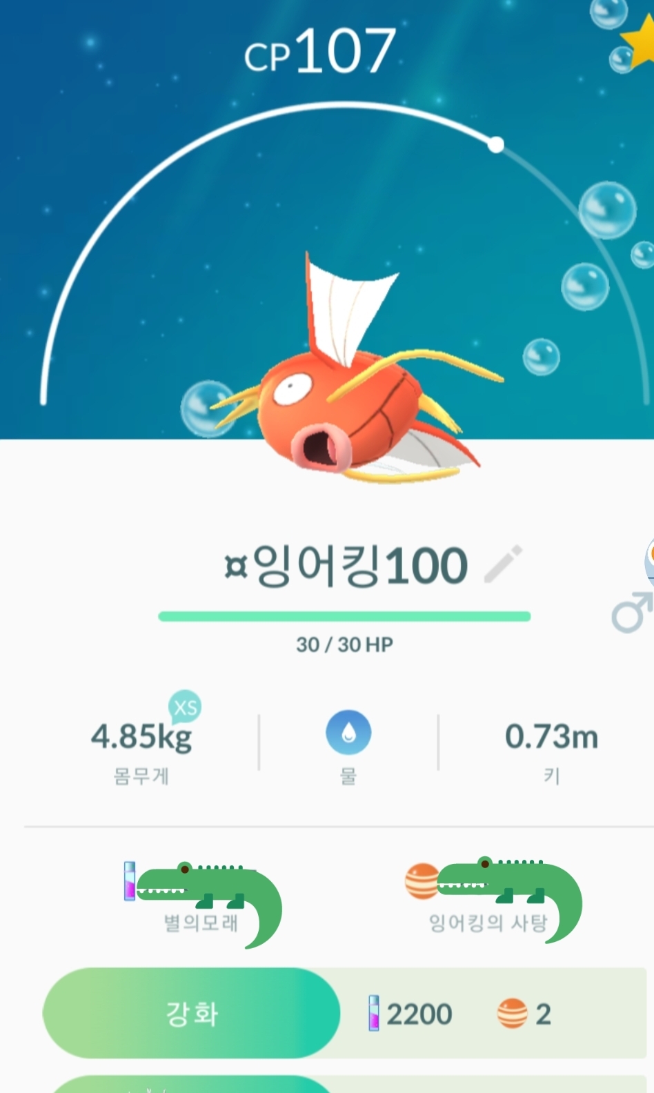 잉어킹 ㅣㅇ ㅇ