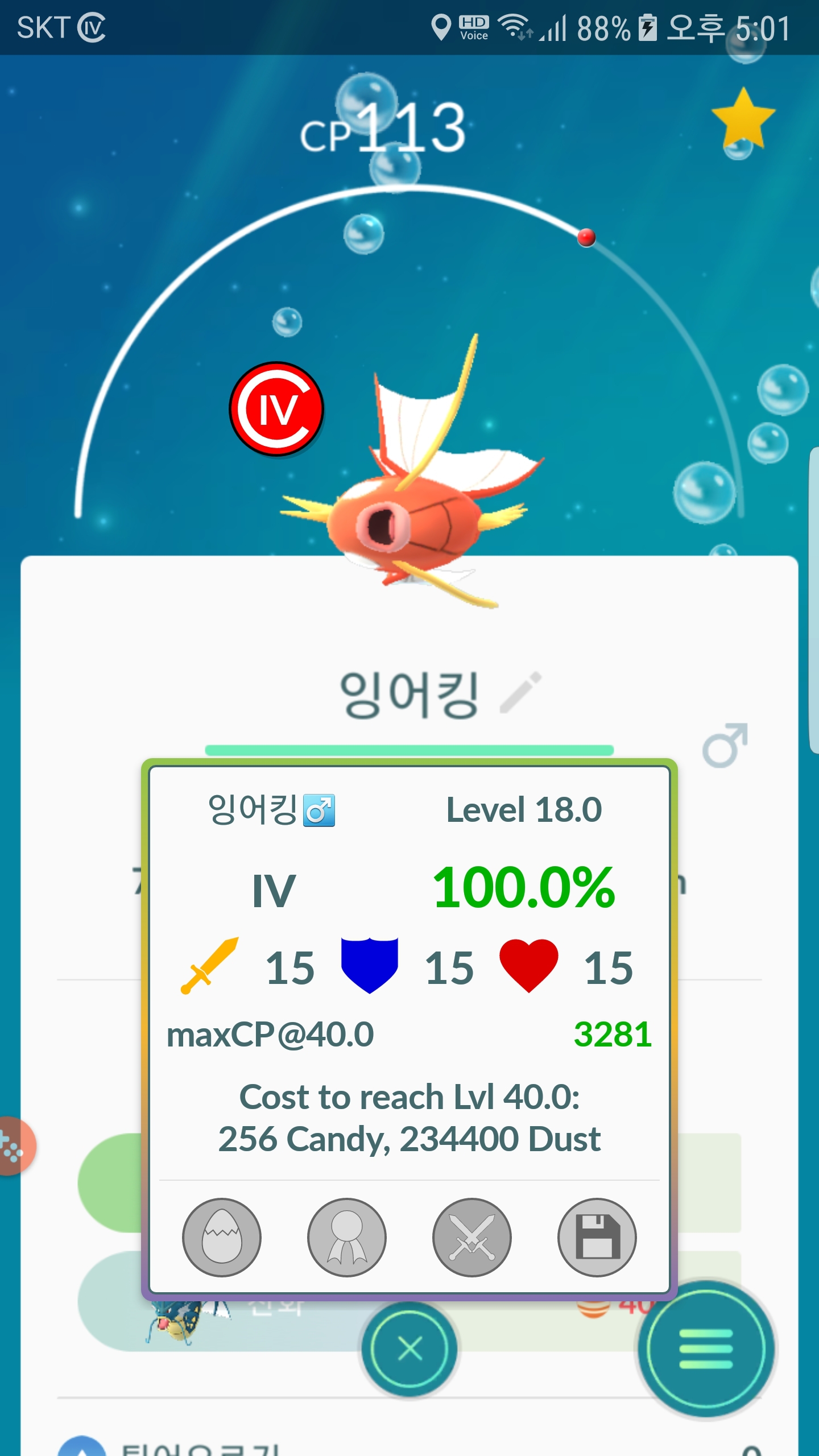오늘잡은 잉어킹 백퍼~~~