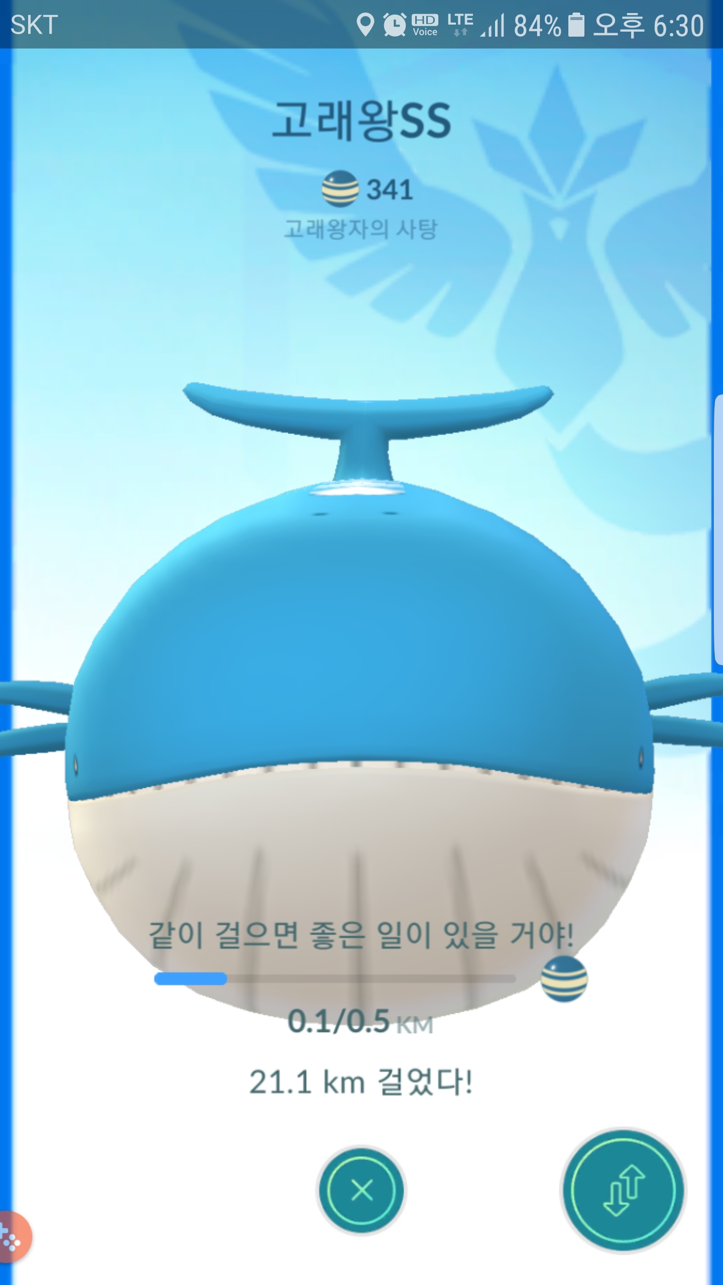 파트너포켓몬  고래왕~~~