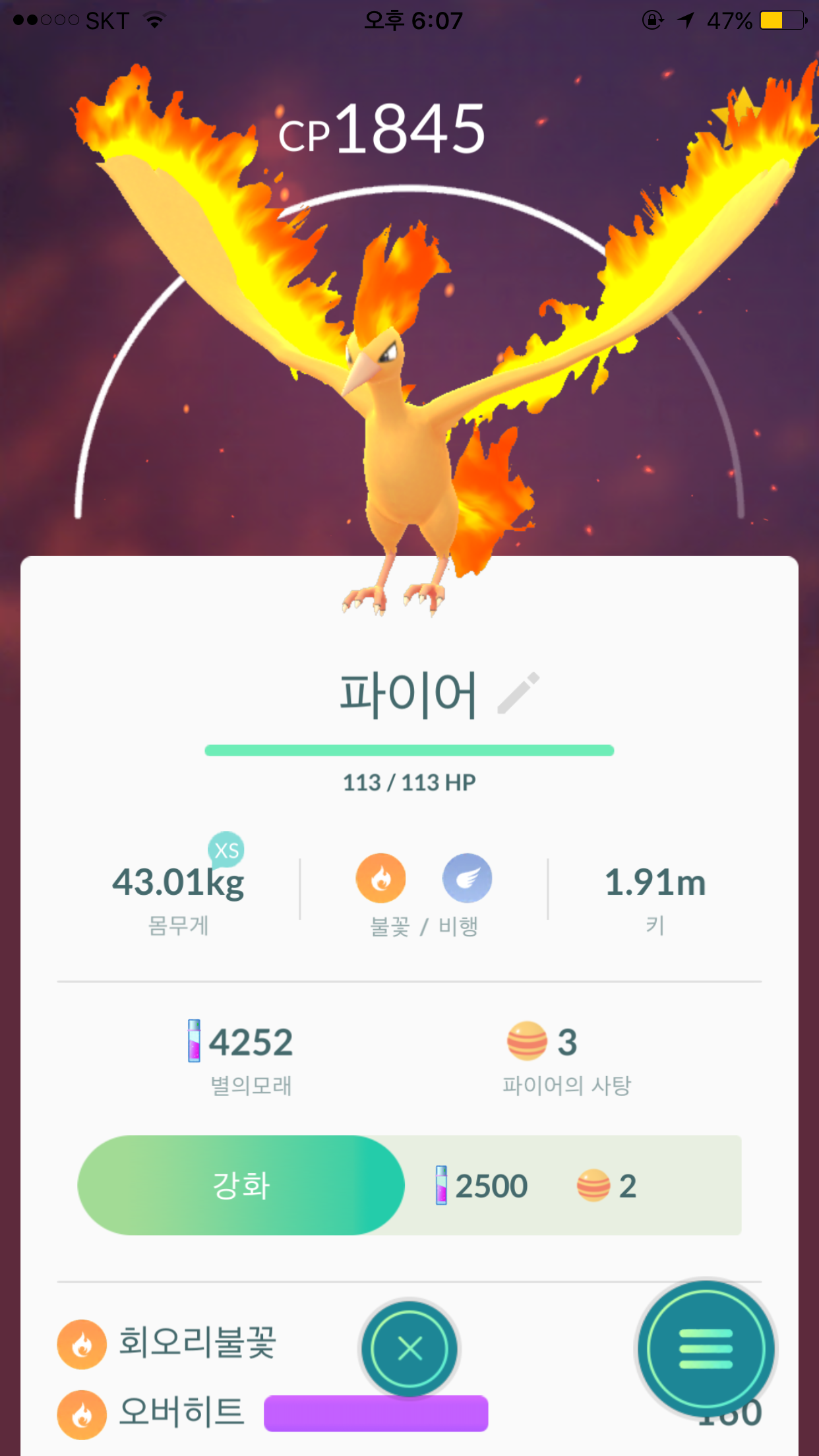 6판에 1마리..