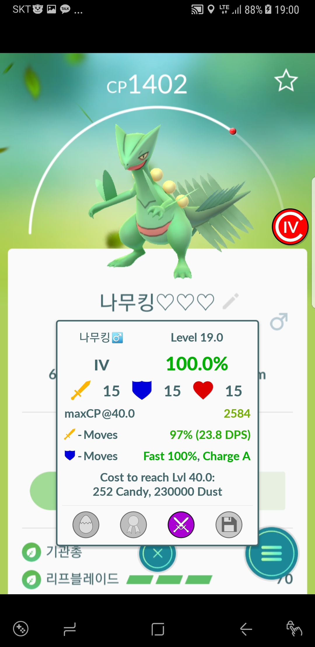 나무킹