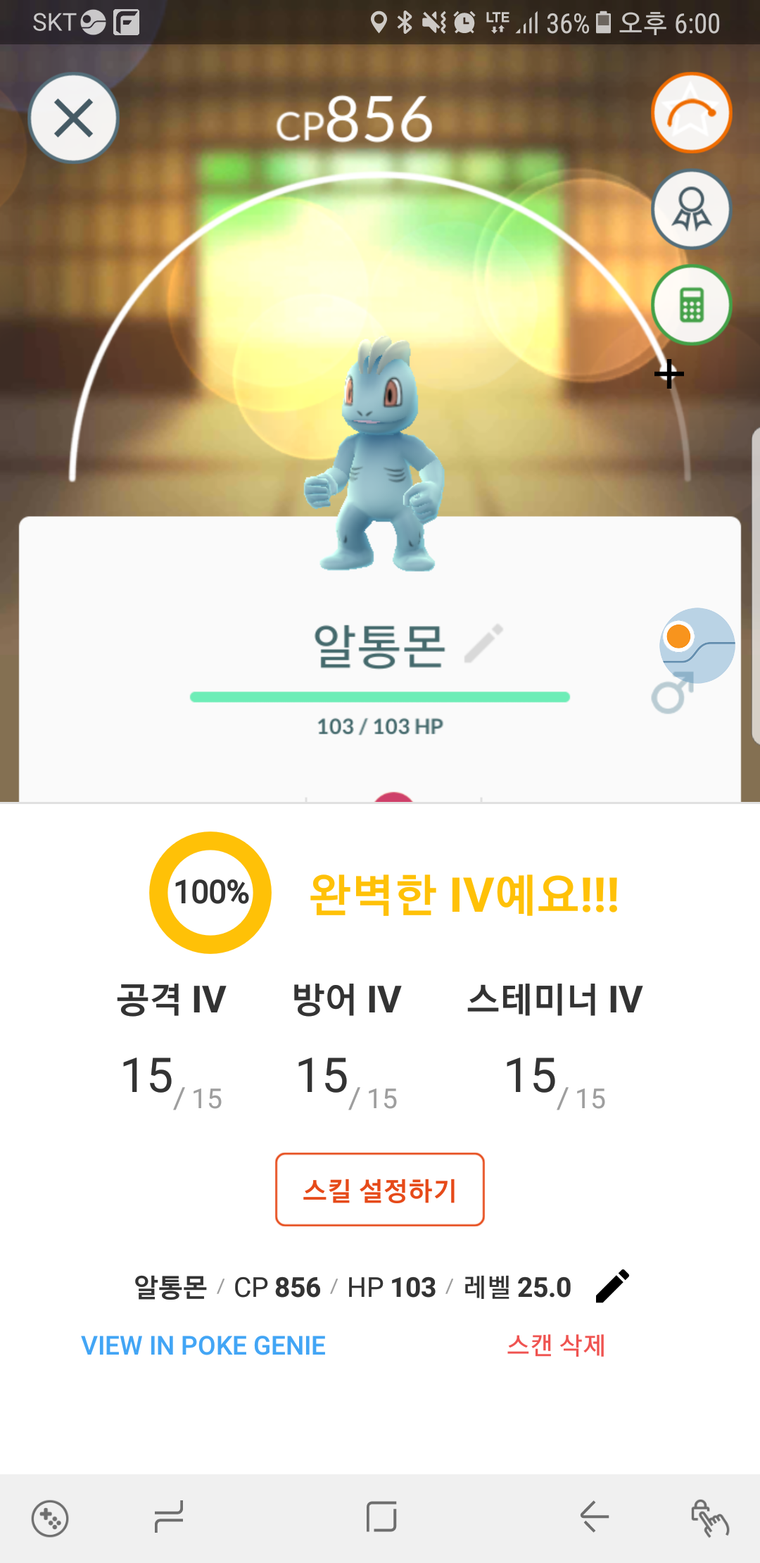 알통백