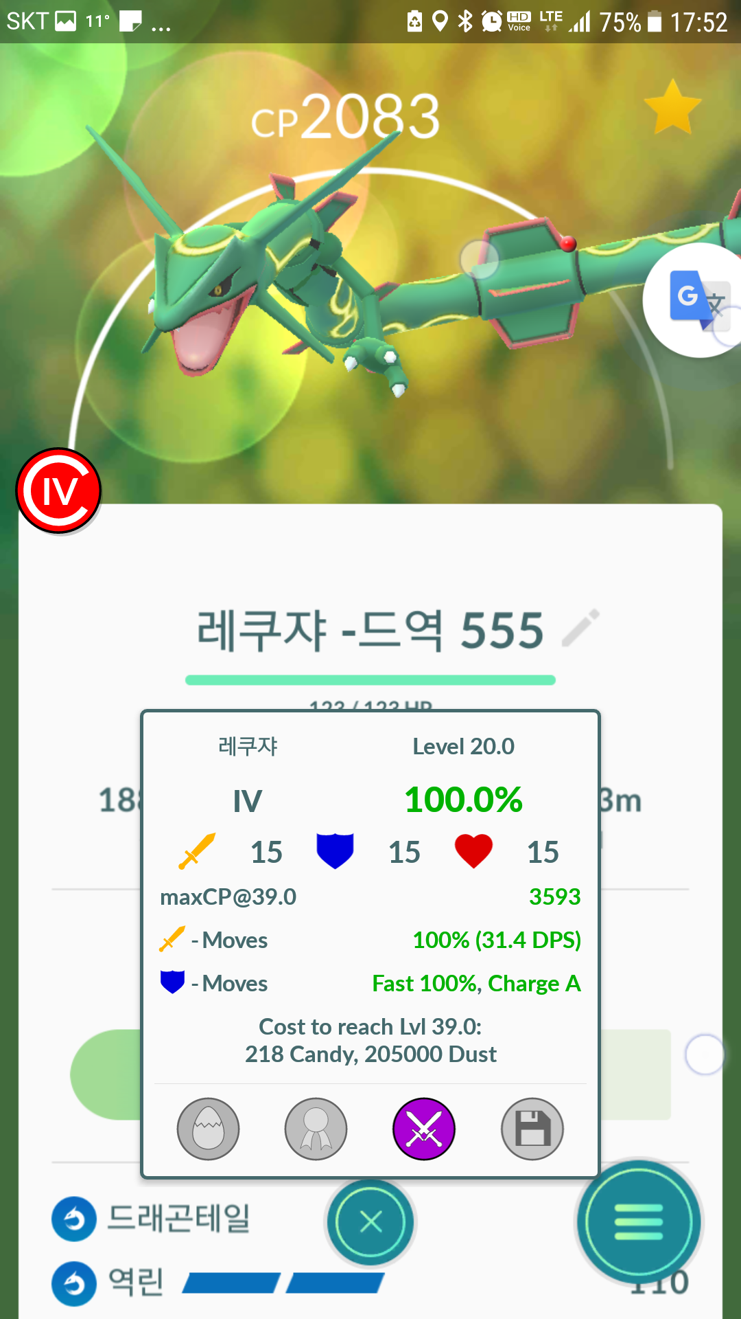 부부케 100퍼 레쿠쟈 포획 완료
