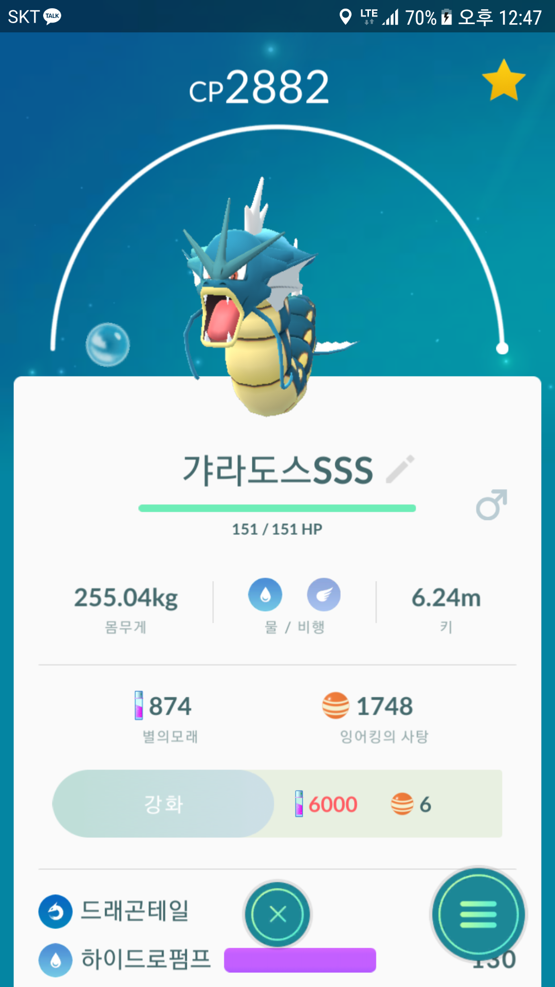 갸라도스 100%