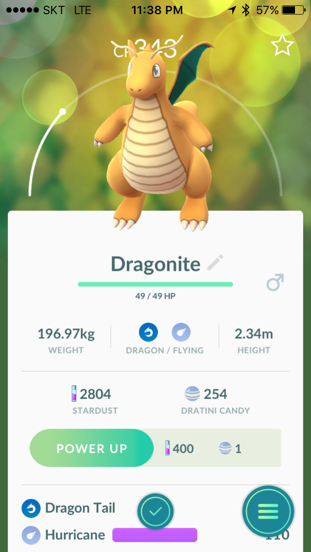 야생 망나뇽을 잡았다!