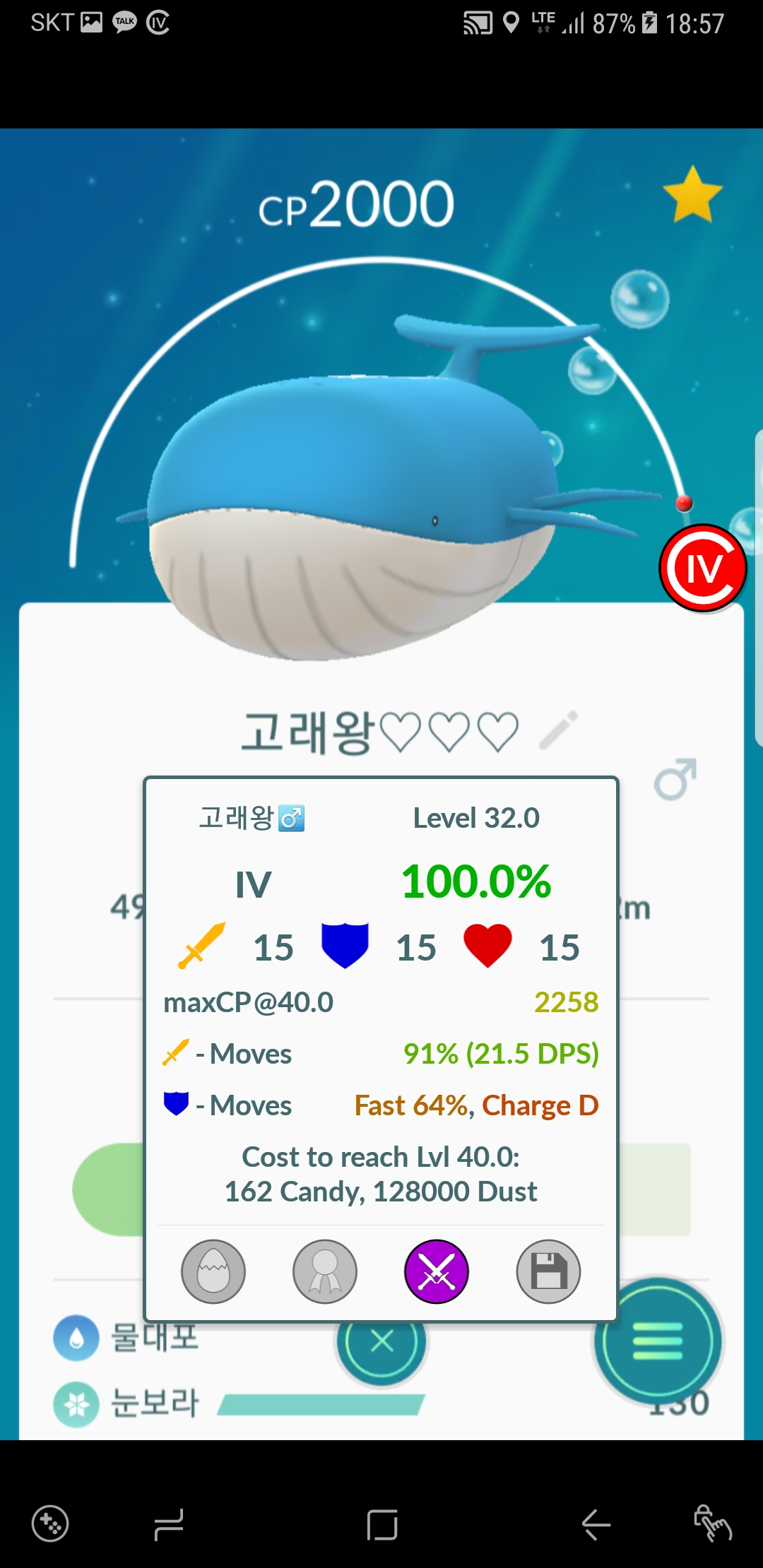 고래왕
