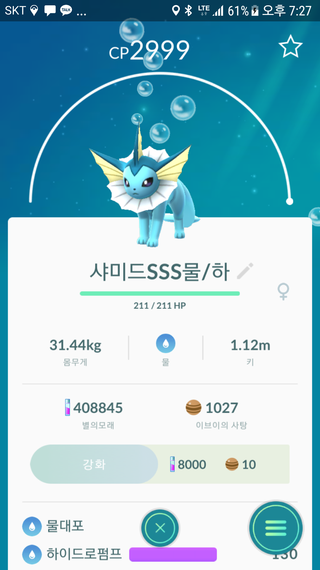 내사랑 샤미드