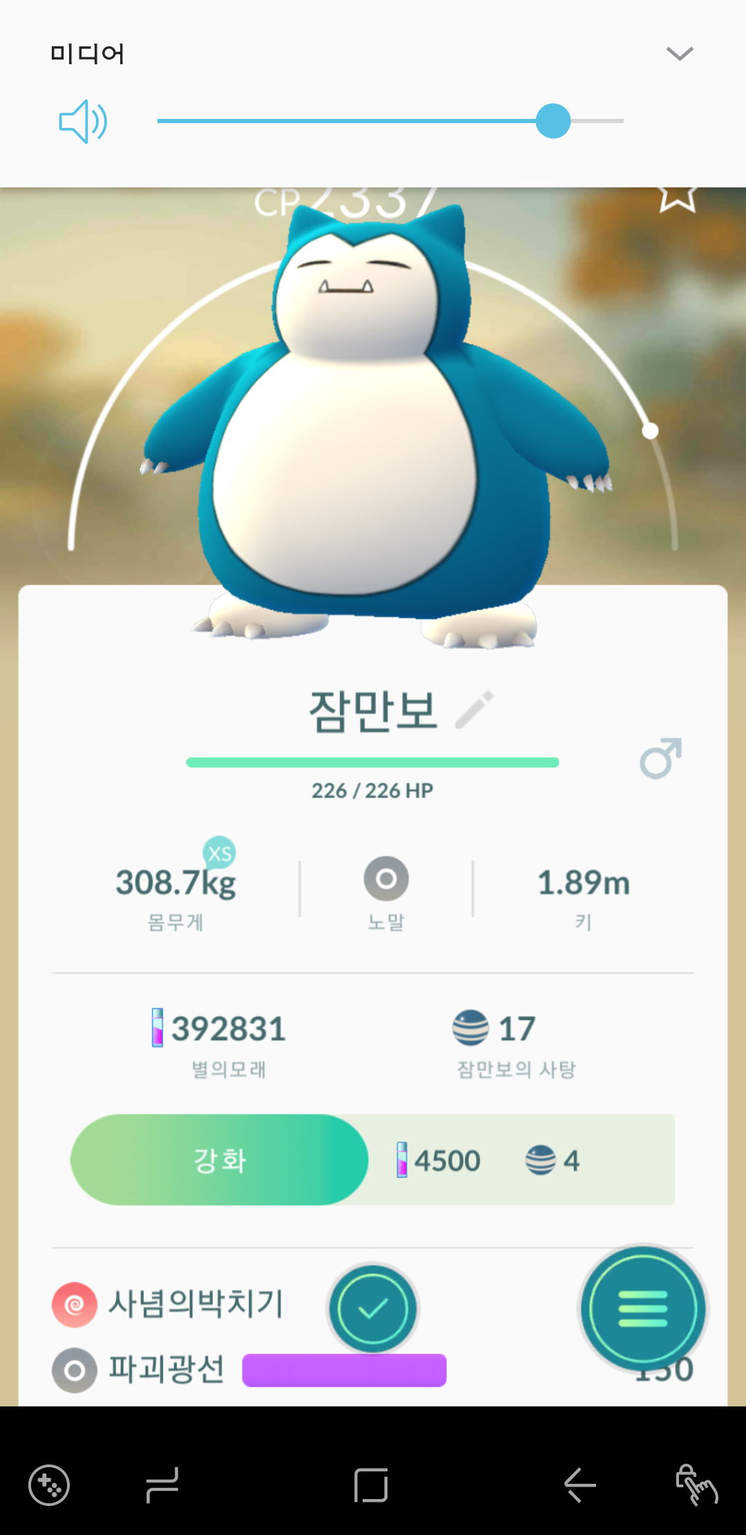 야생 만보