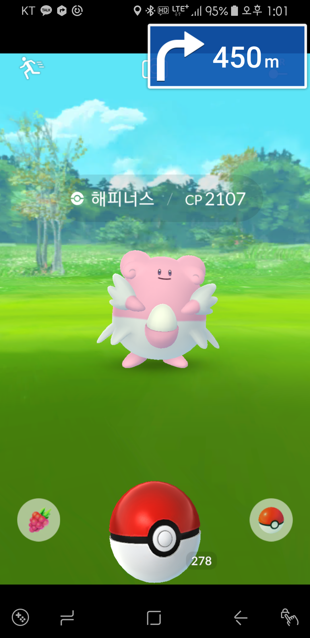야생 해피