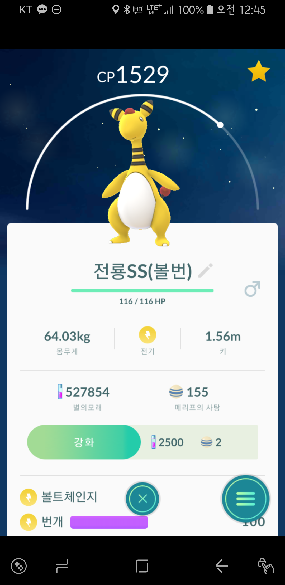 전룡SS