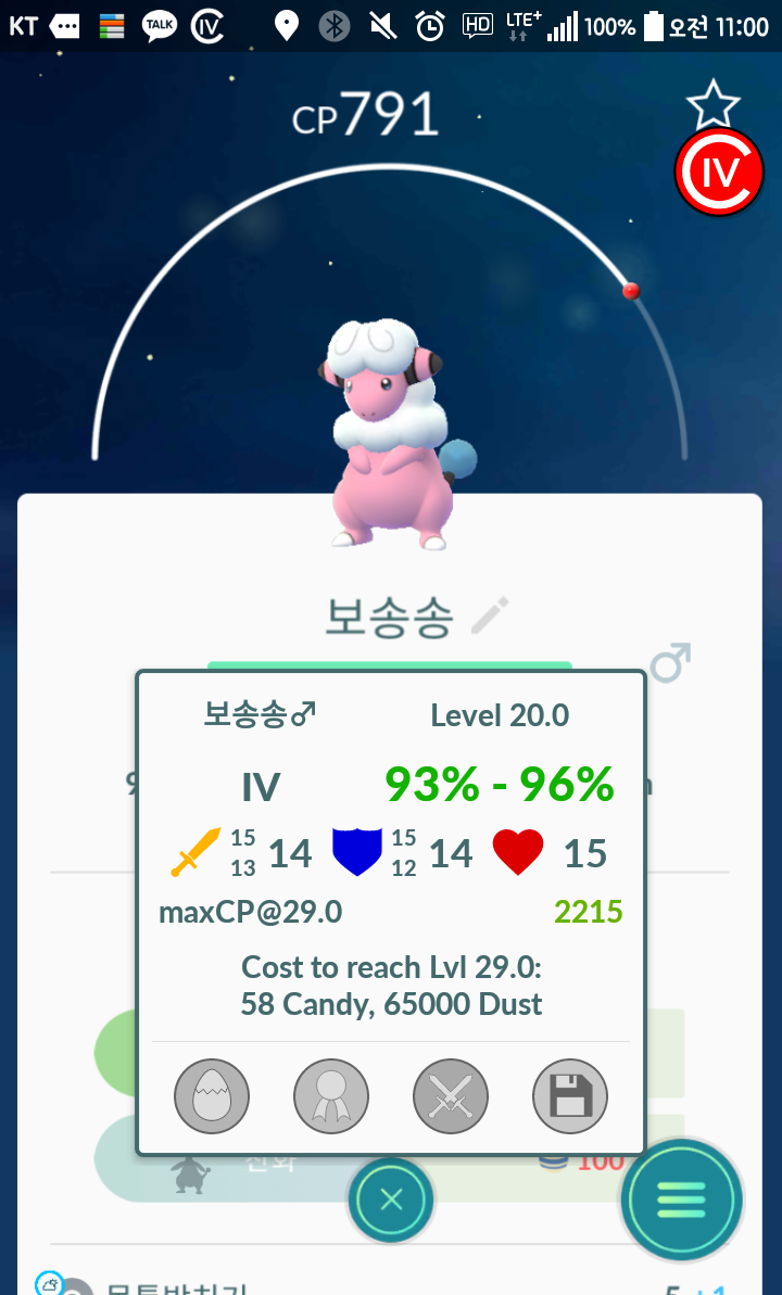 야생보송송