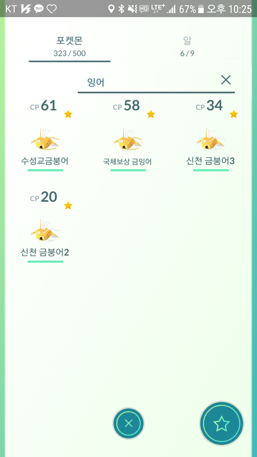 황금붕어빵~