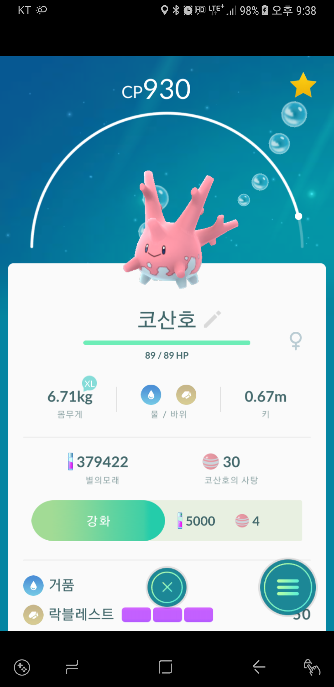 보홀에서 잡은 코산호
