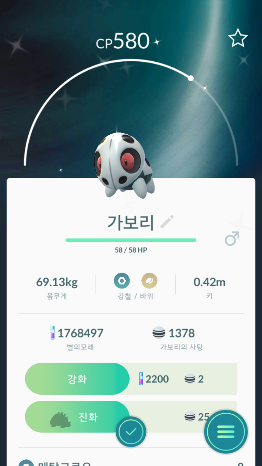 가보리 이로치