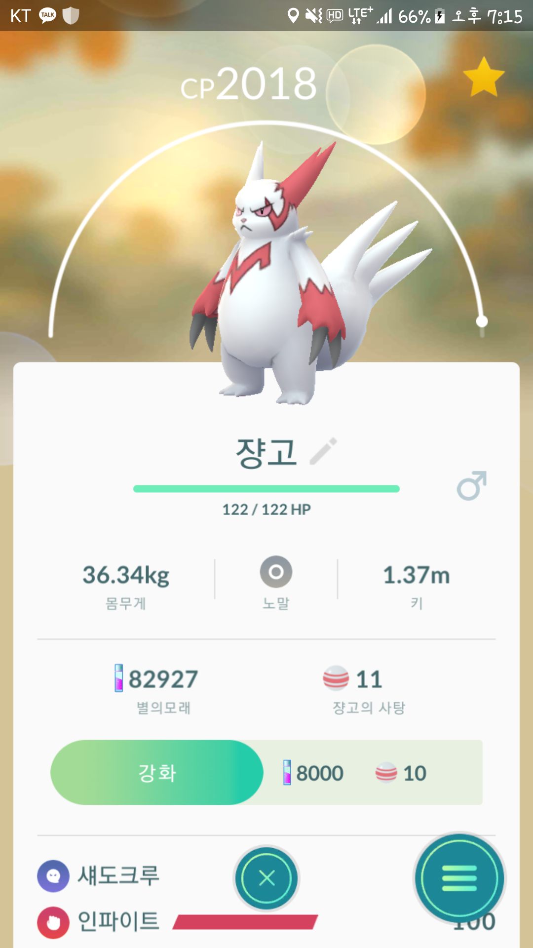 새해 인사하는 쟝고~